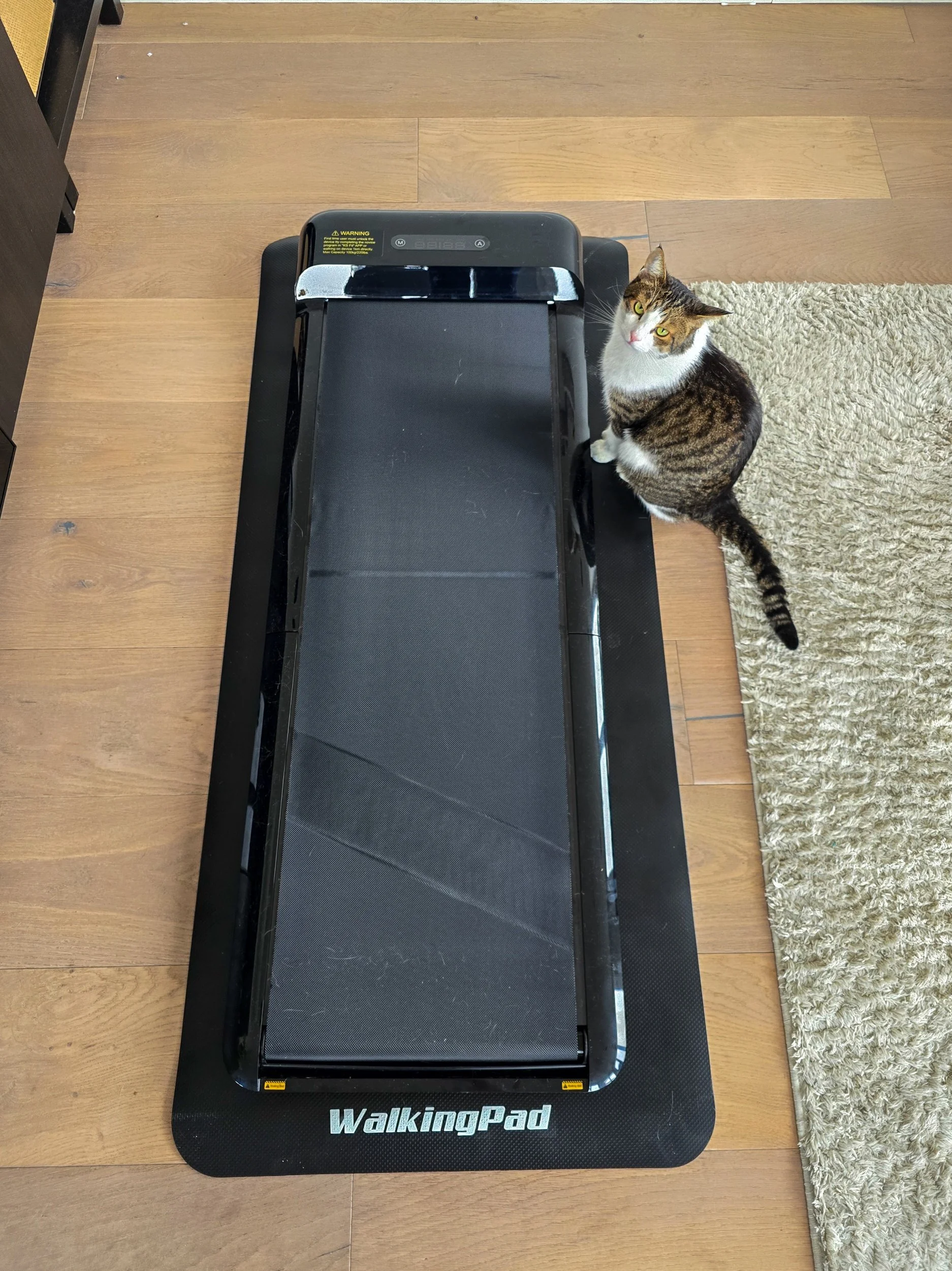 Walkingpad Kingsmith C2 Front View