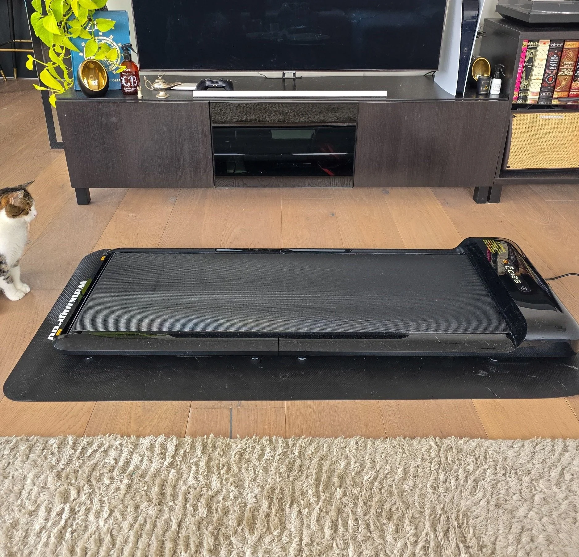 Kingsmith Walking Pad C2