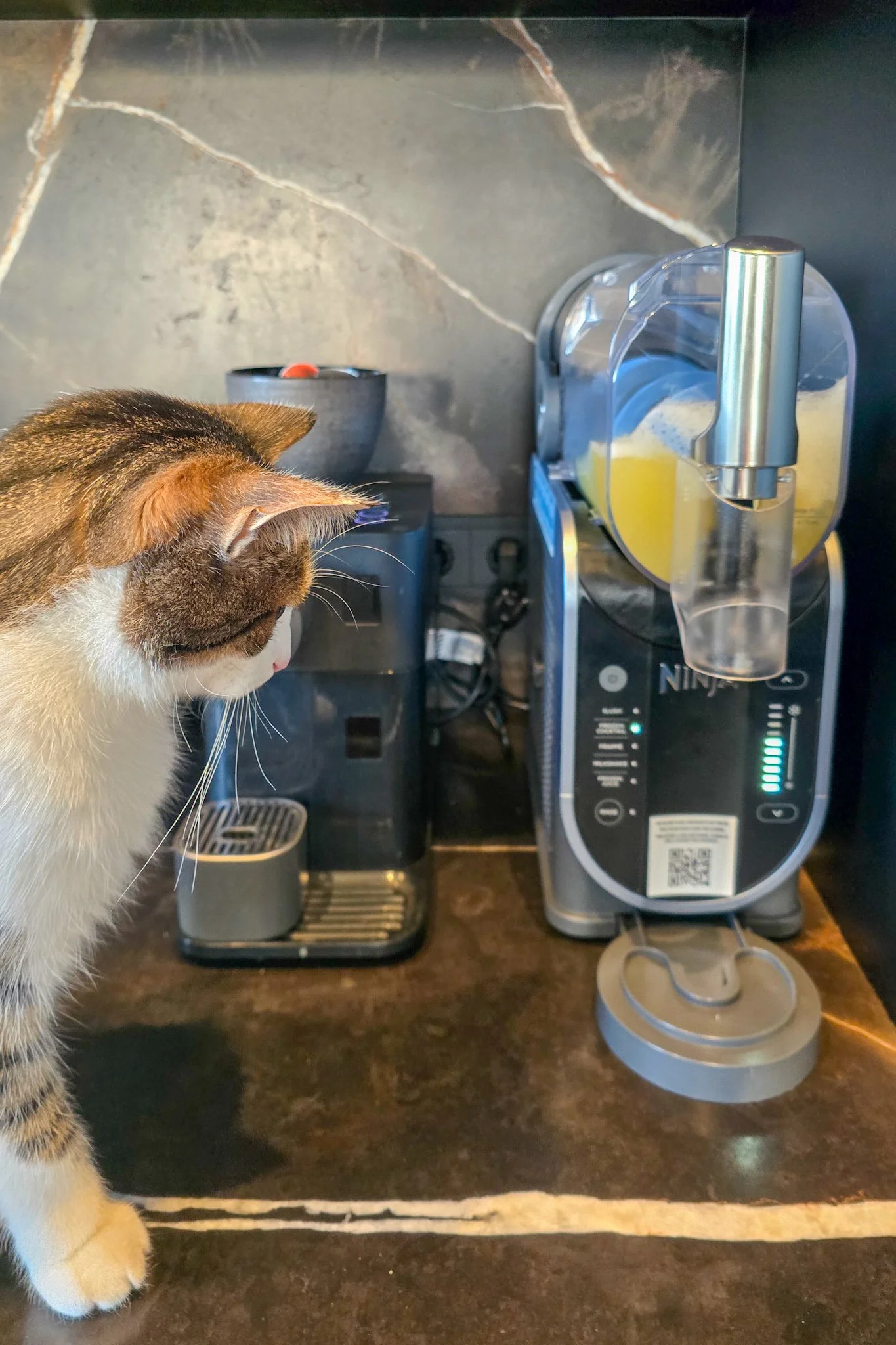 Pros Cons Ninja Slushie Machine