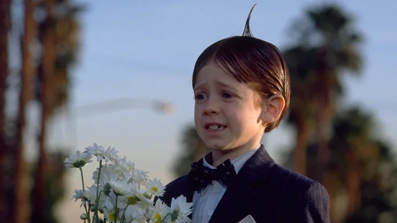 I’m dumbing it down for you Alfalfa.