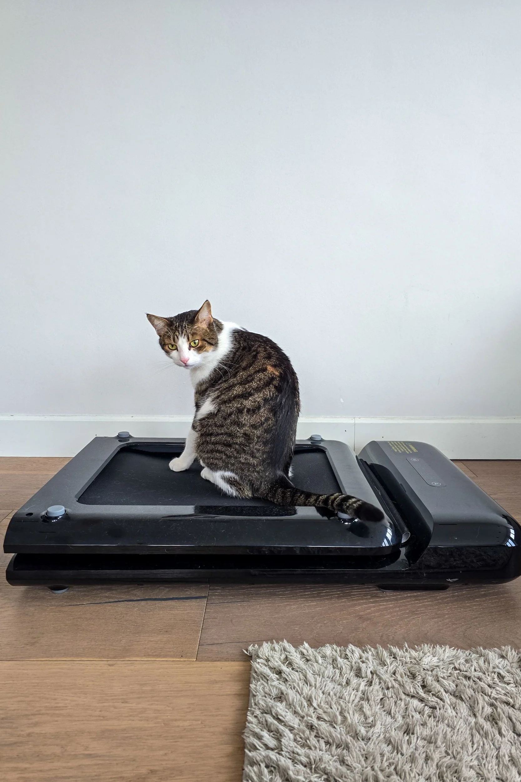 Kingsmith Walking Pad Folded Side