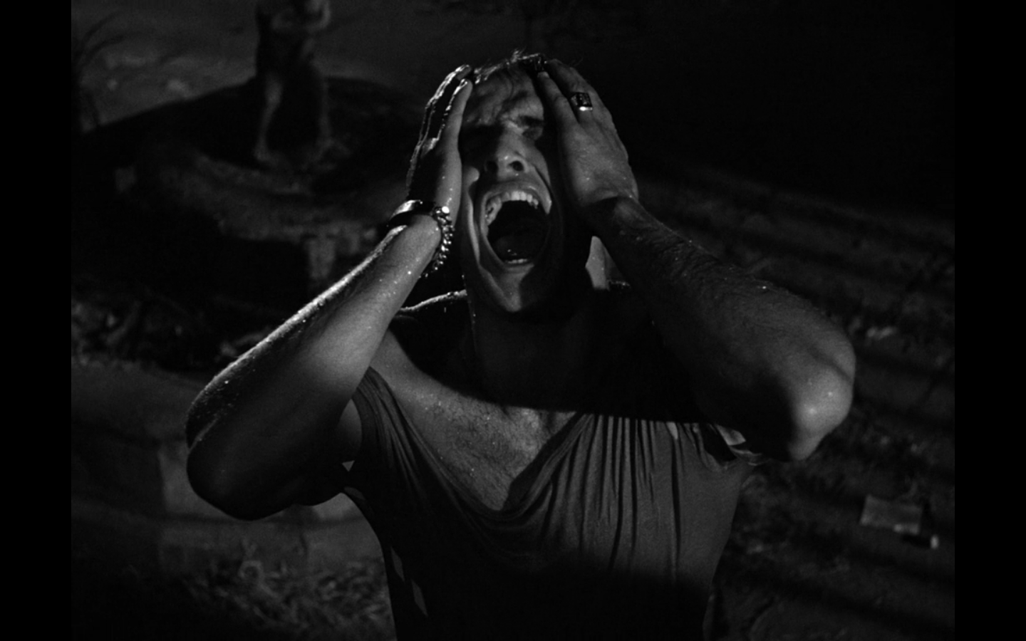 (yelling) “Stella!”