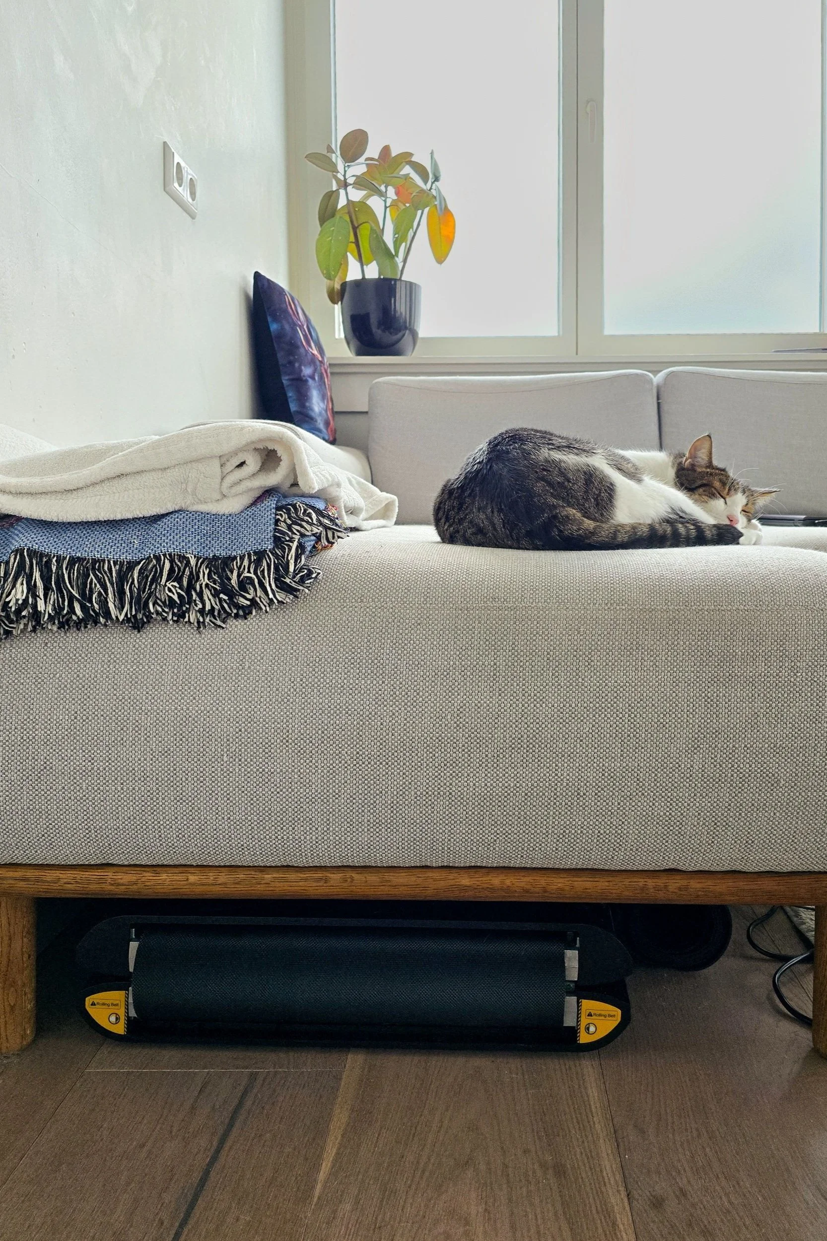 Kingsmith Walking Pad C2 Review: The Home Treadmill Worth Trying?