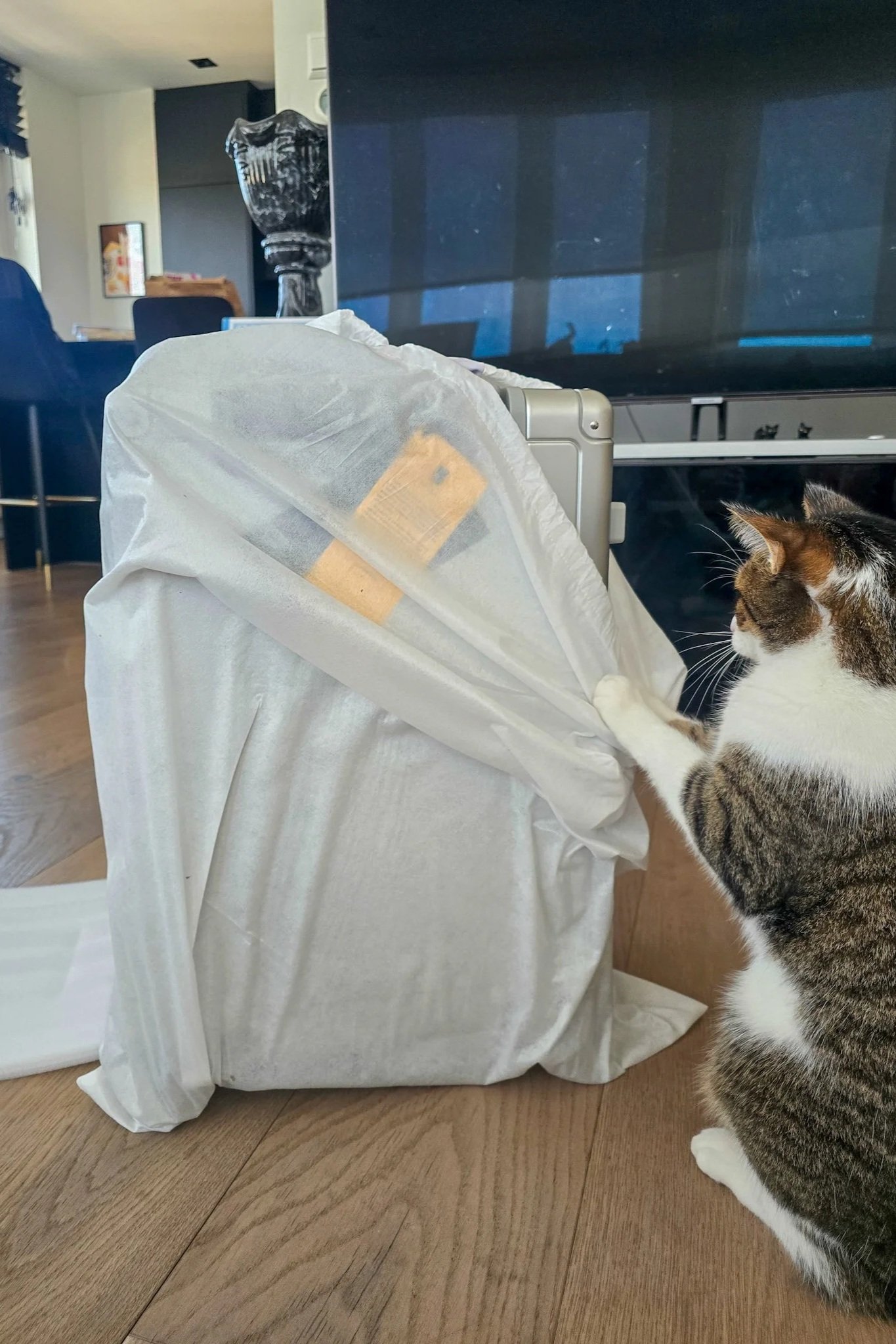 Level8 Carry on Gibraltar unboxing