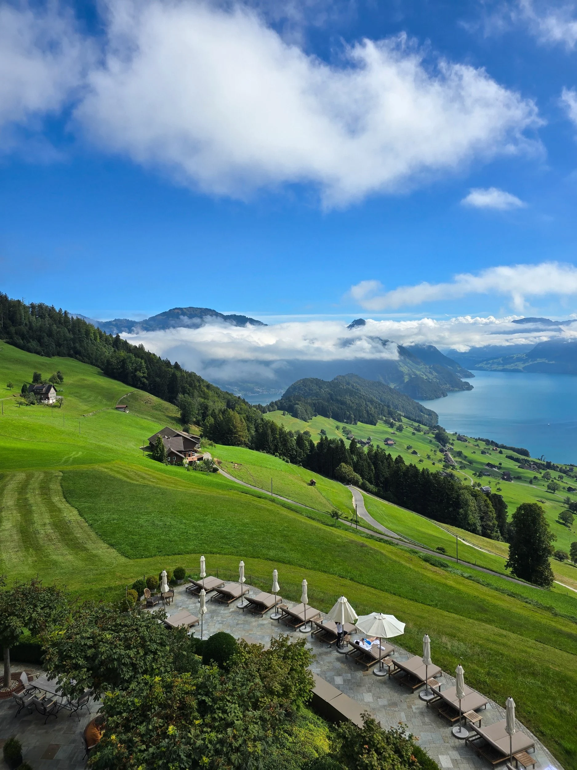Villa Honegg Switzerland View