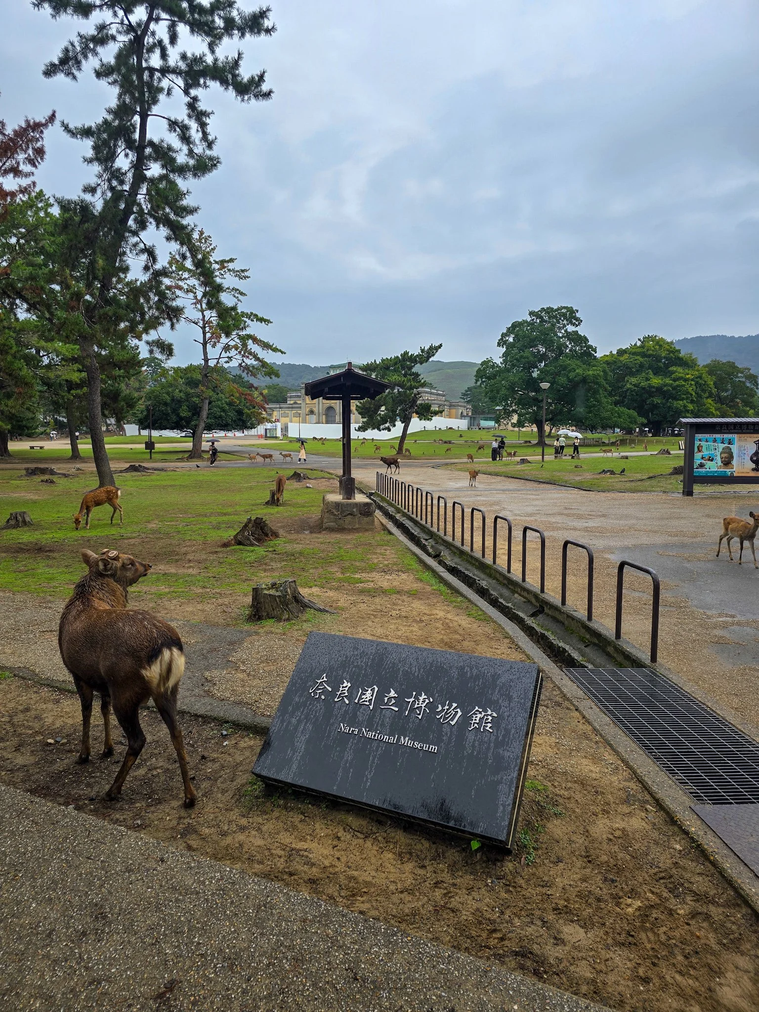 Nara Deer Park Museum