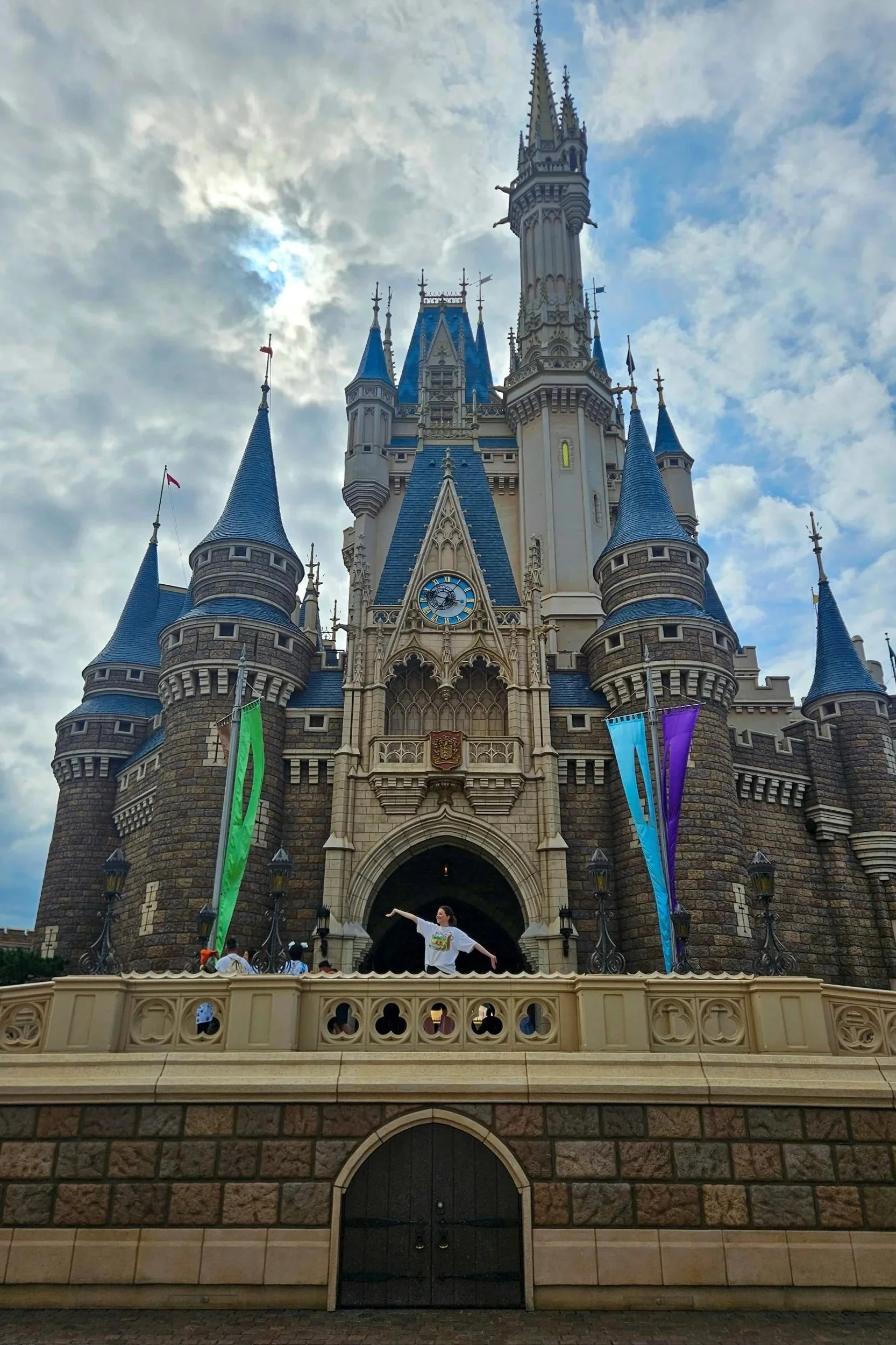 Tokyo Disney Castle