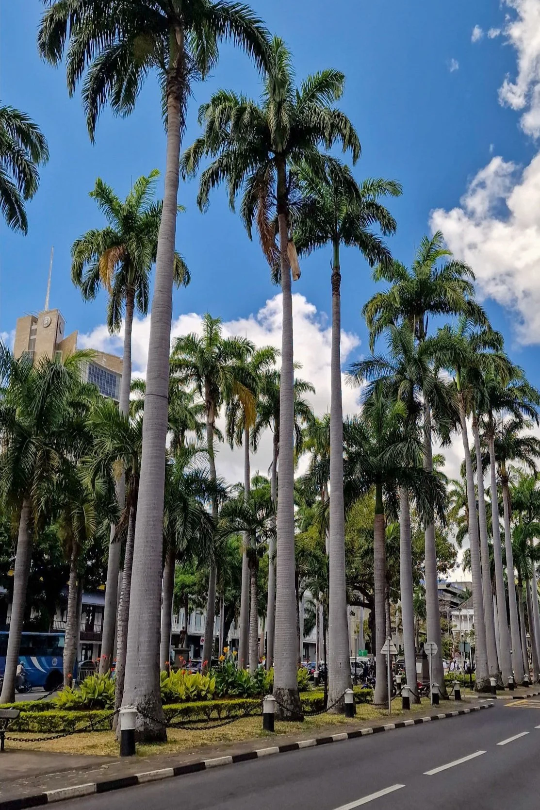 Mauritius Port Louis