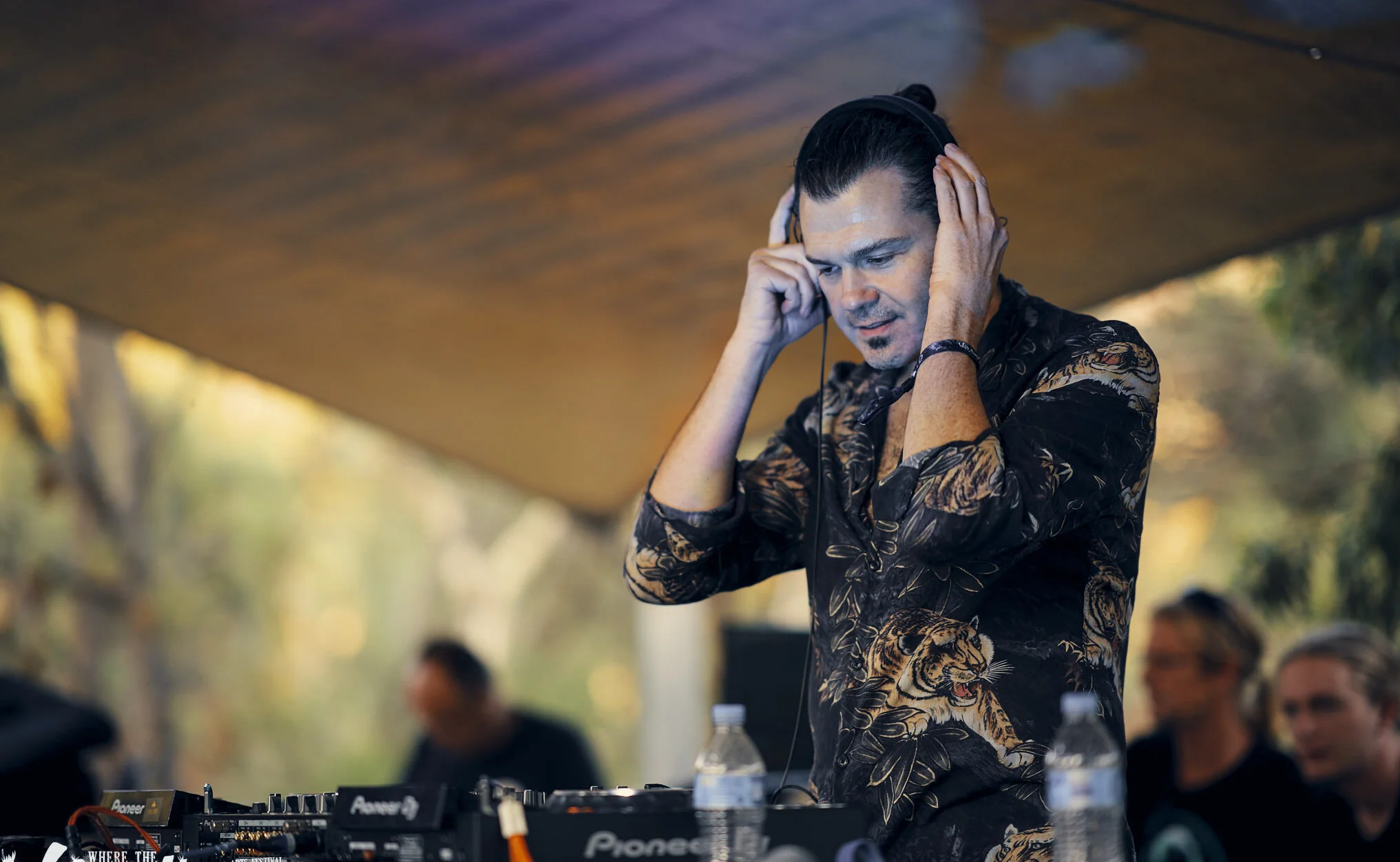 psymon wild things cropped.jpg