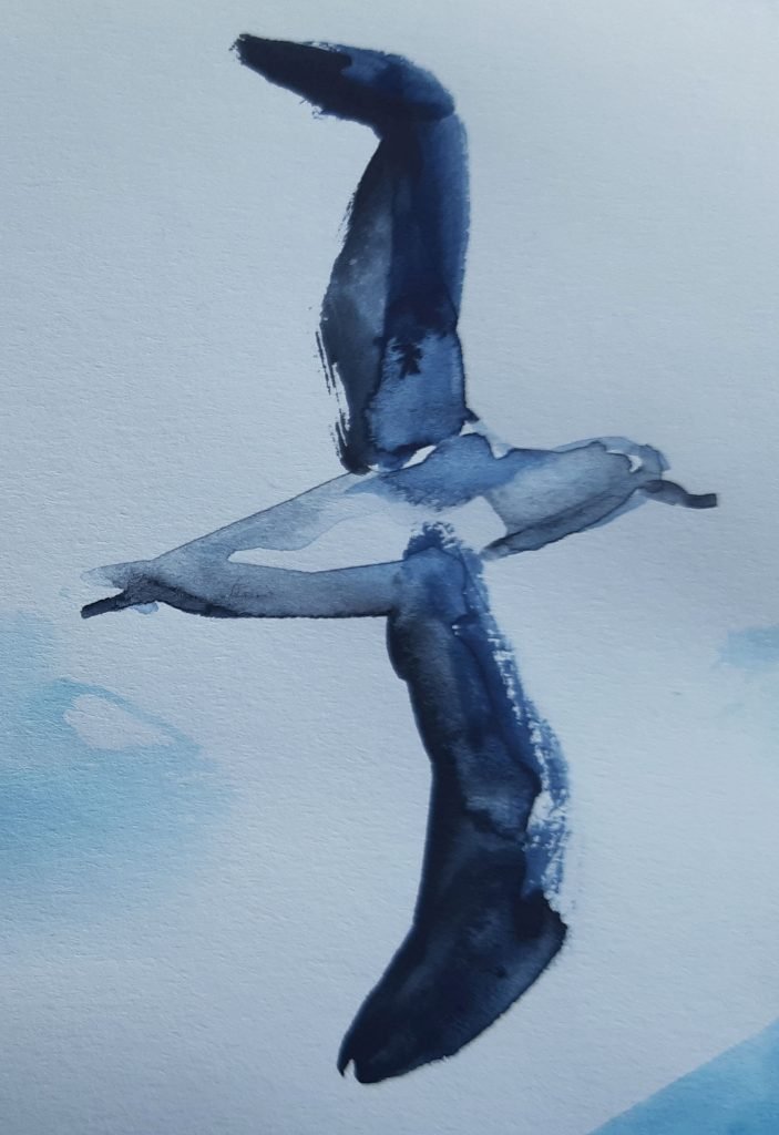 Frozen-Worlds-albatross-illustration_Funbrushtic-703x1024.jpg