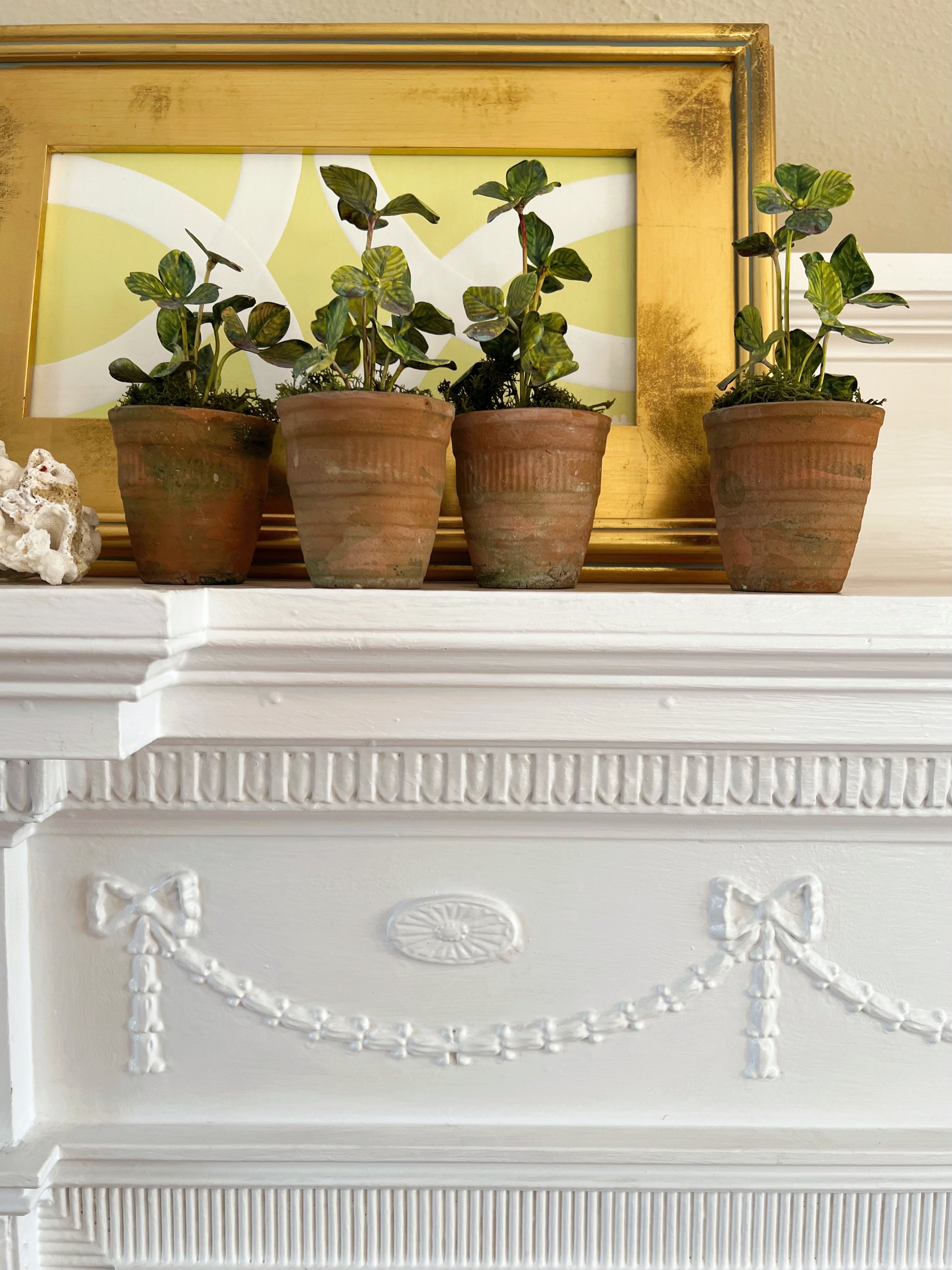 Pre-Order Mini Potted Clover