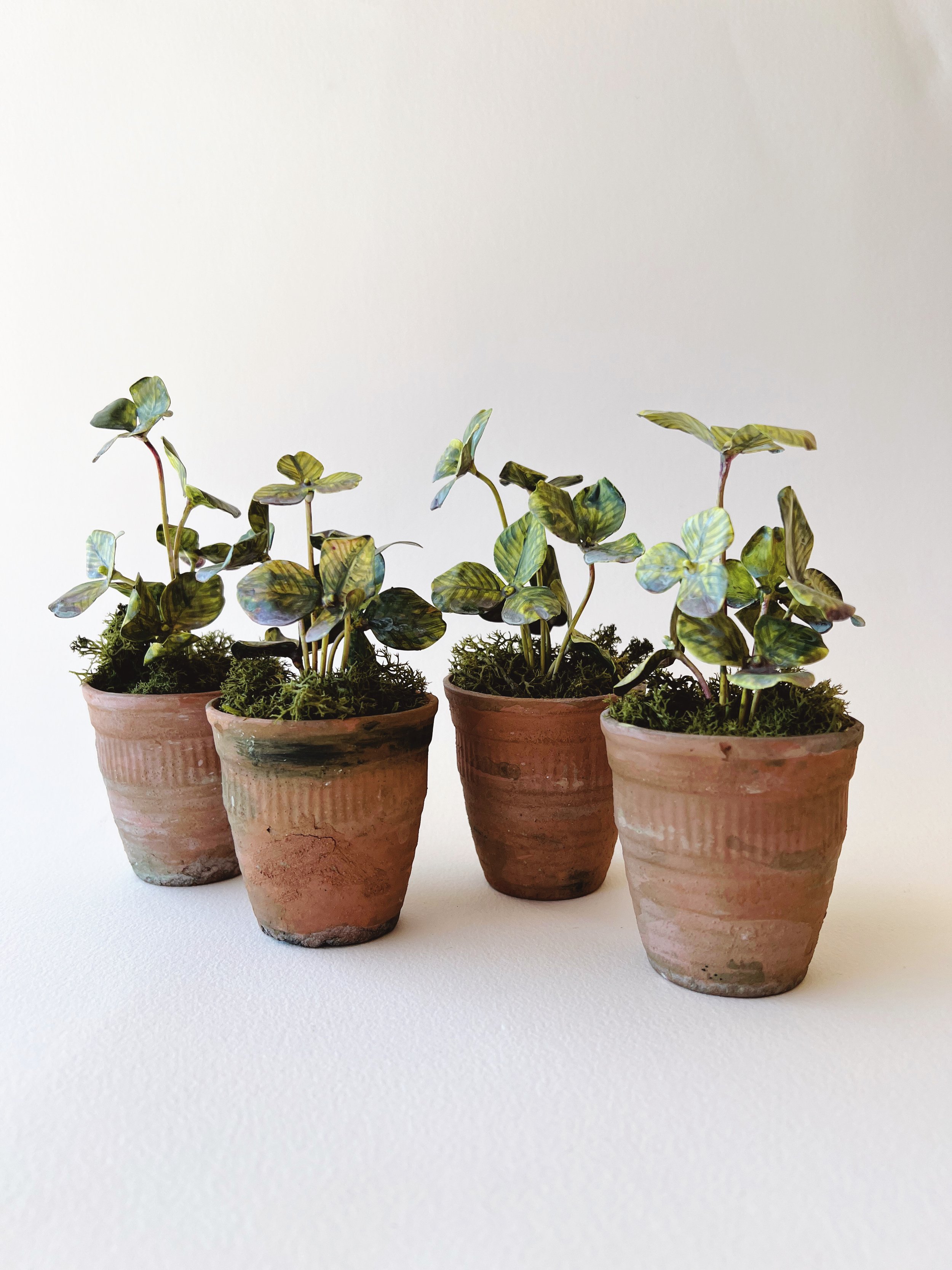 Clover-tole-in-pot-vintage.JPG