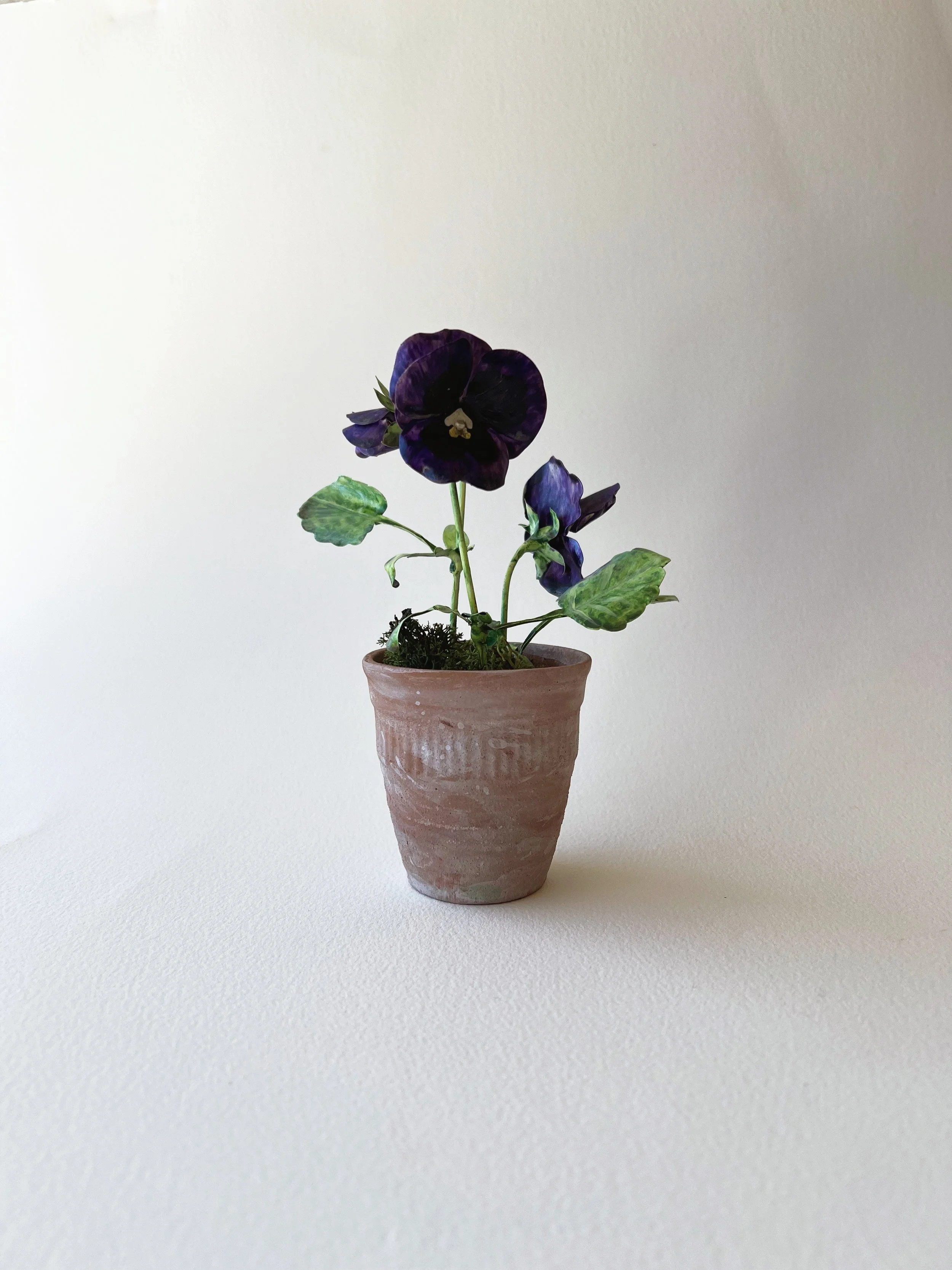 dark-purple-tole-pansy.JPG