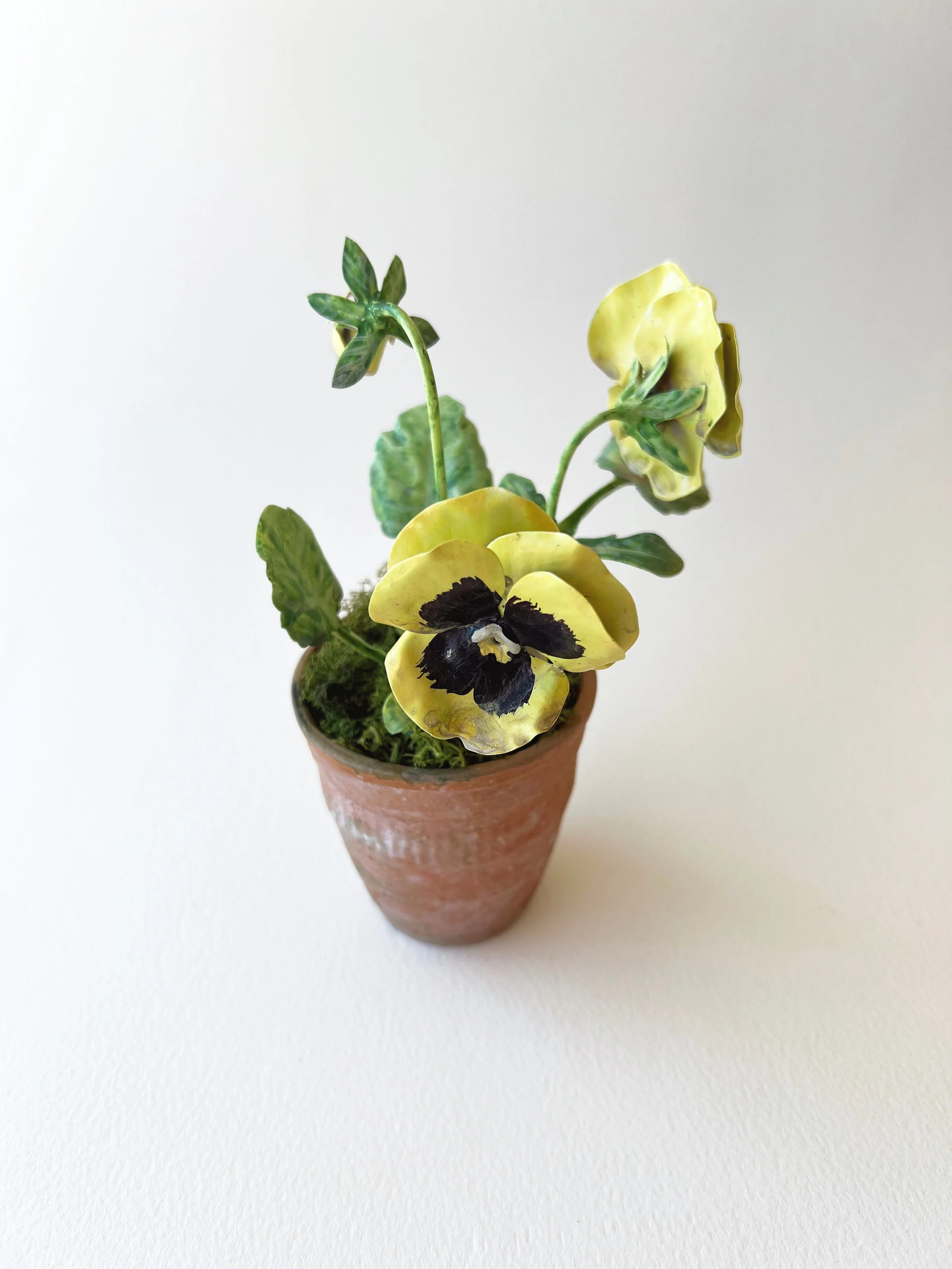 yellow-tole-pansies-in-pot.JPG