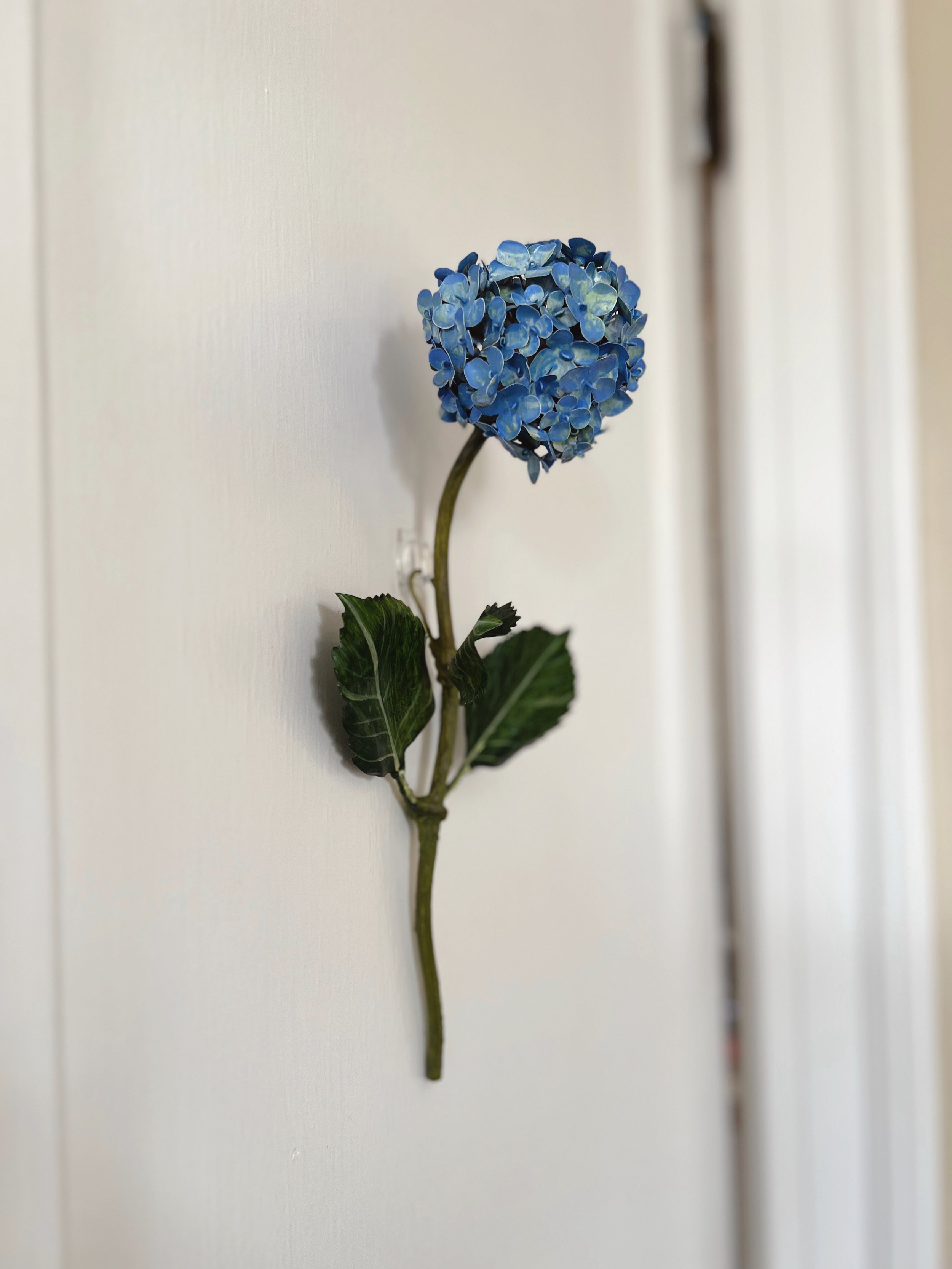 wall-flower-hydrangea-dark-blue.JPG