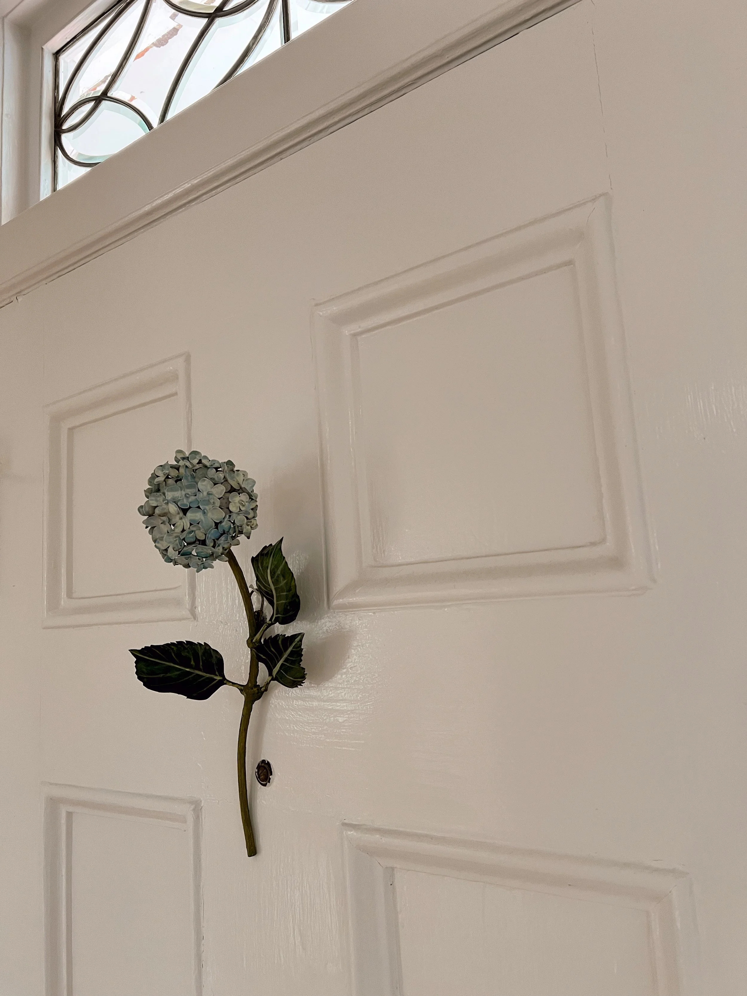 wall-flower-hydrangea-on-door.JPG