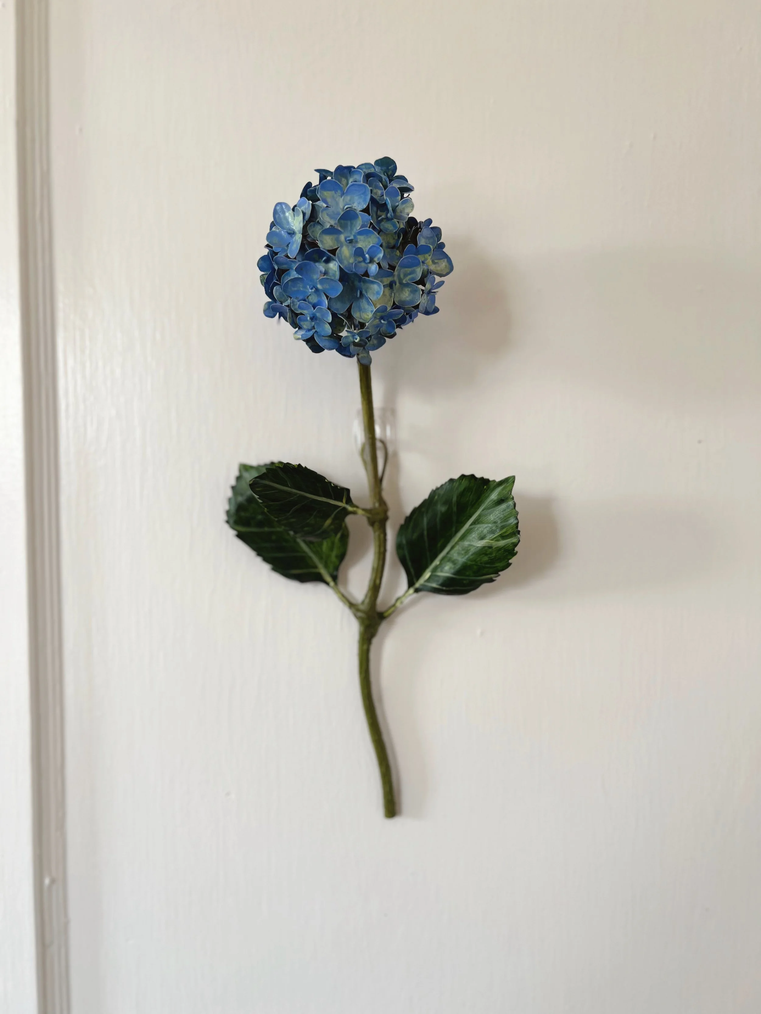 dark-blue-hydrangea-wall-flower.JPG