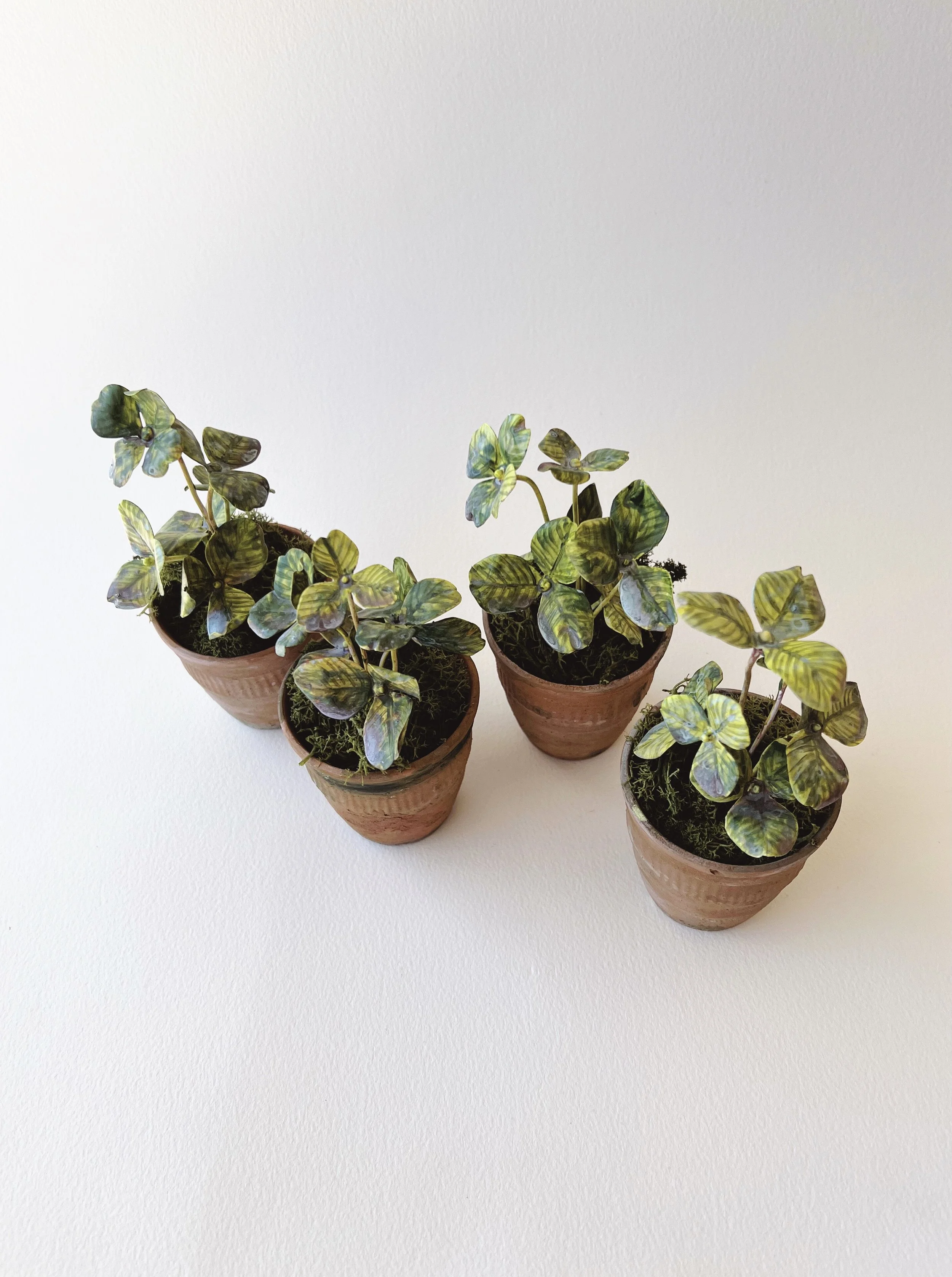 tole-clover-in-pot-with-moss.jpg