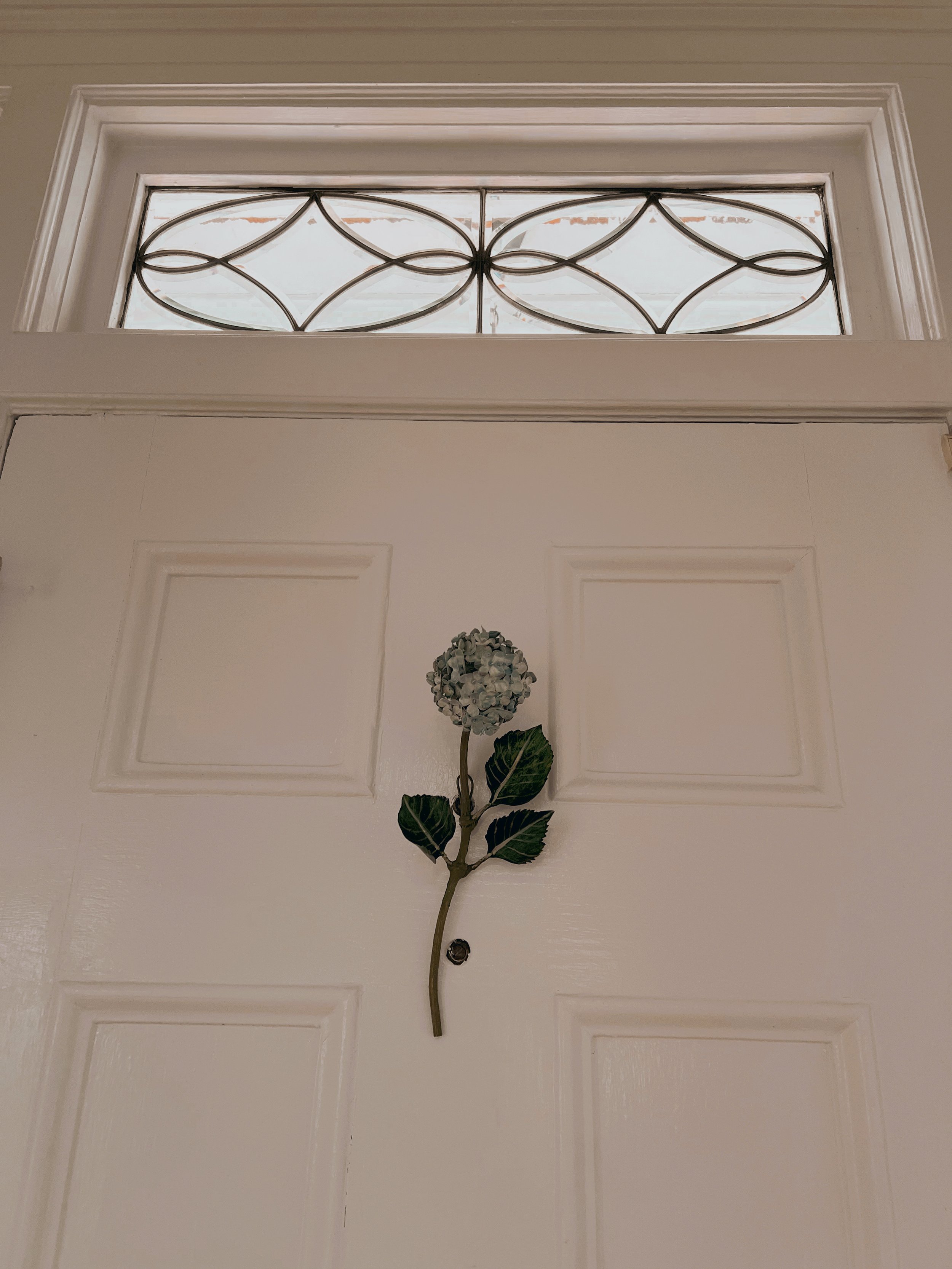 blue-hydrangea-on-wall-antique-window .JPG