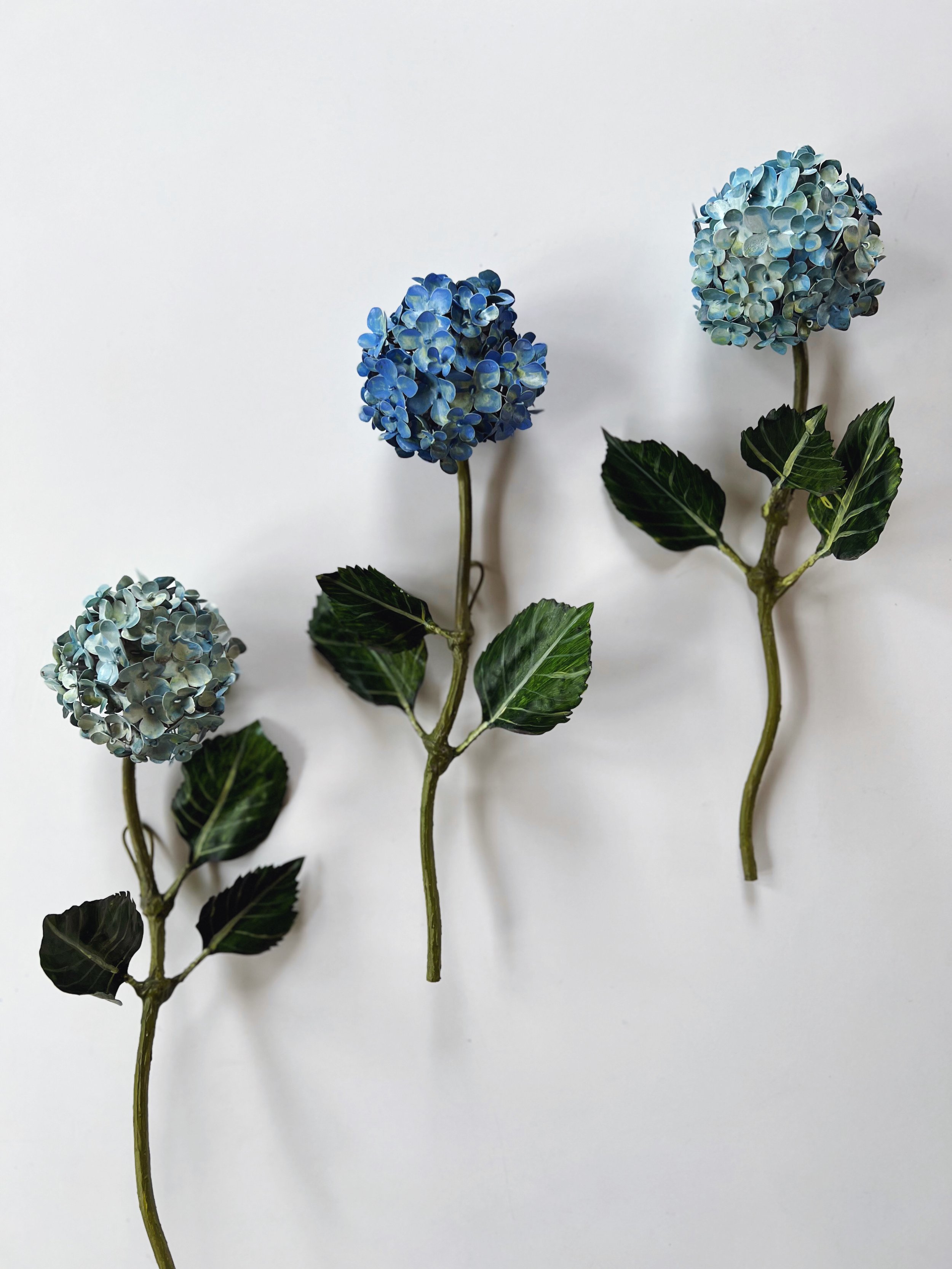 Pre-Order Wall Flower Hydrangea