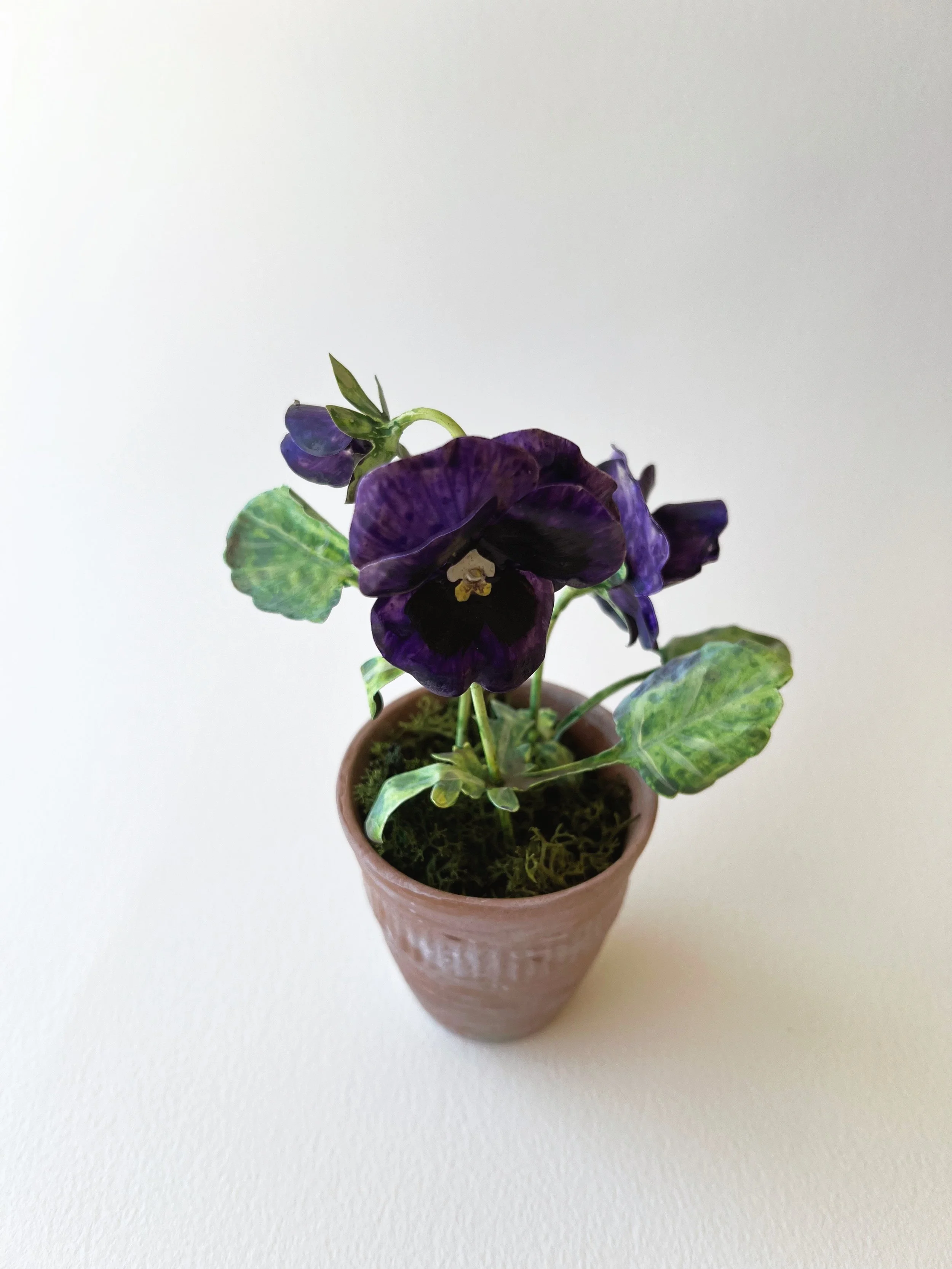 dark-purple-potted-pansy-tole.JPG