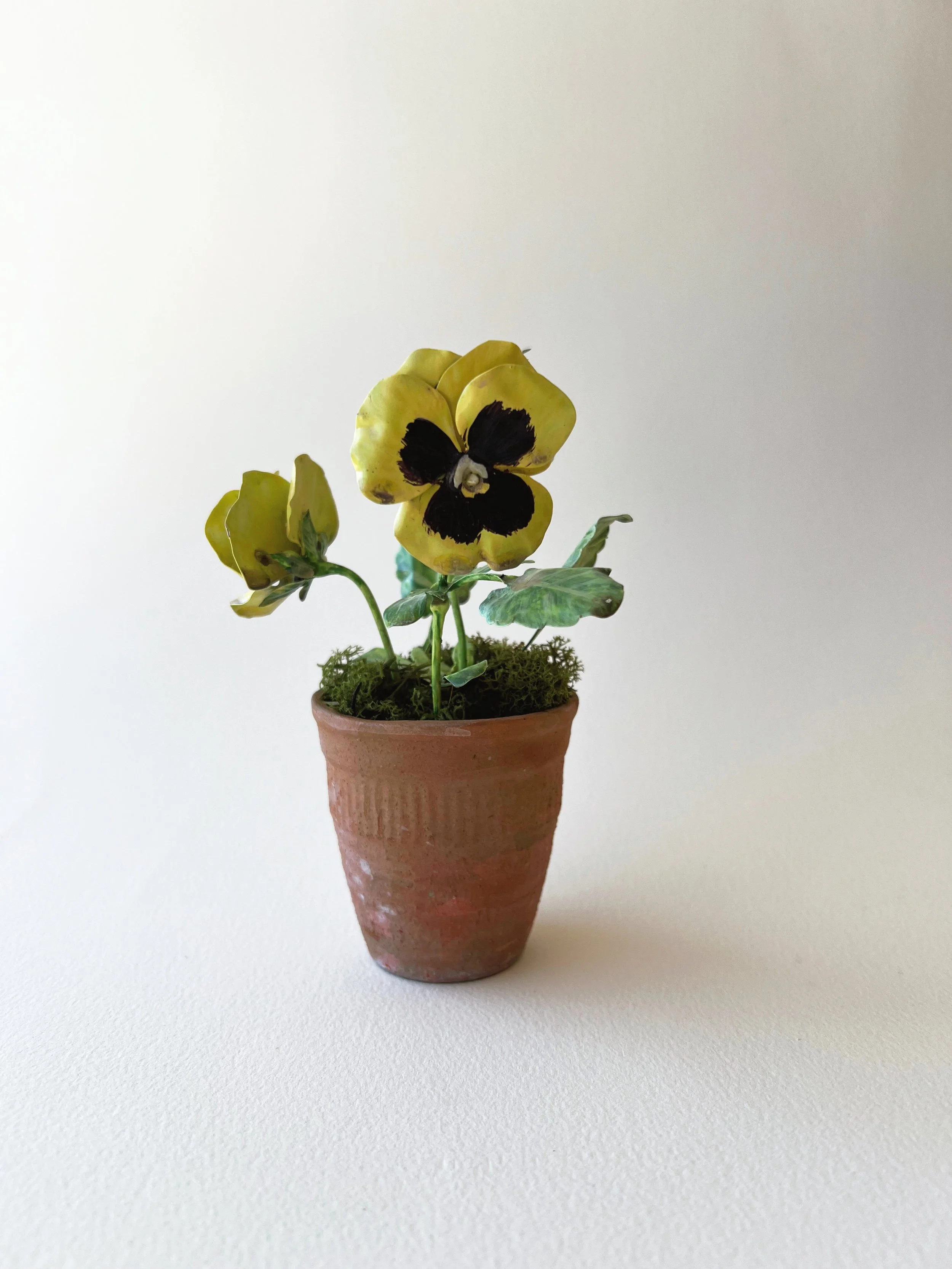 yellow-tole-pansy.JPG