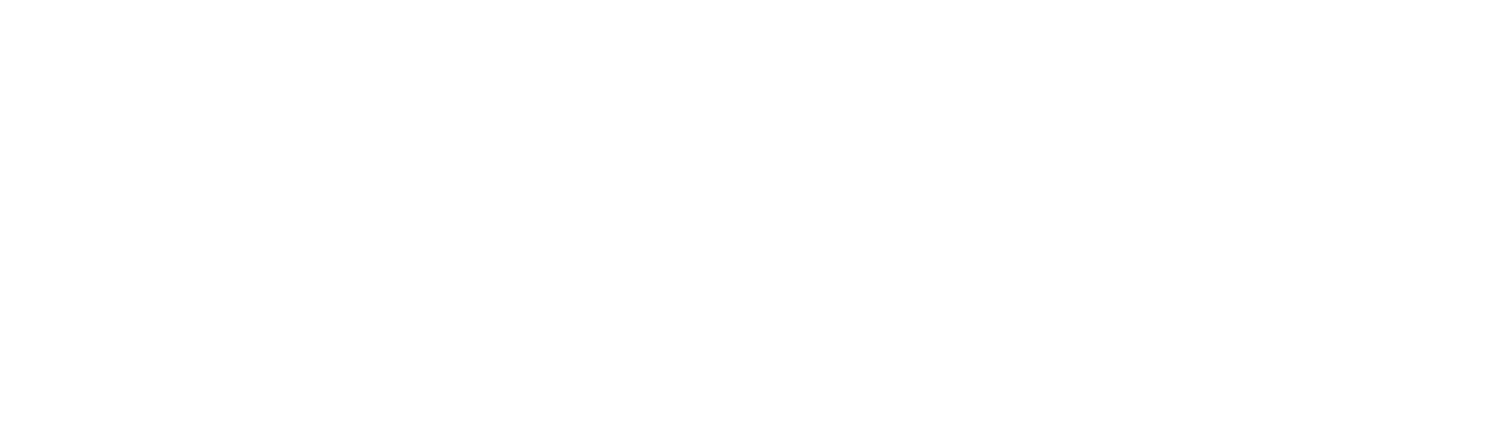 Wild &amp; Whimsy Foundation