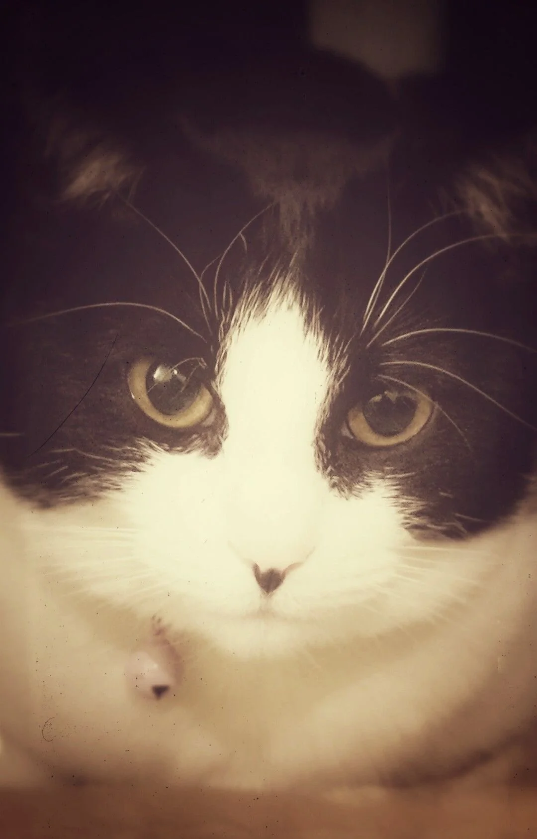 Jan - Sep 2020 Income_Report_7.jpeg