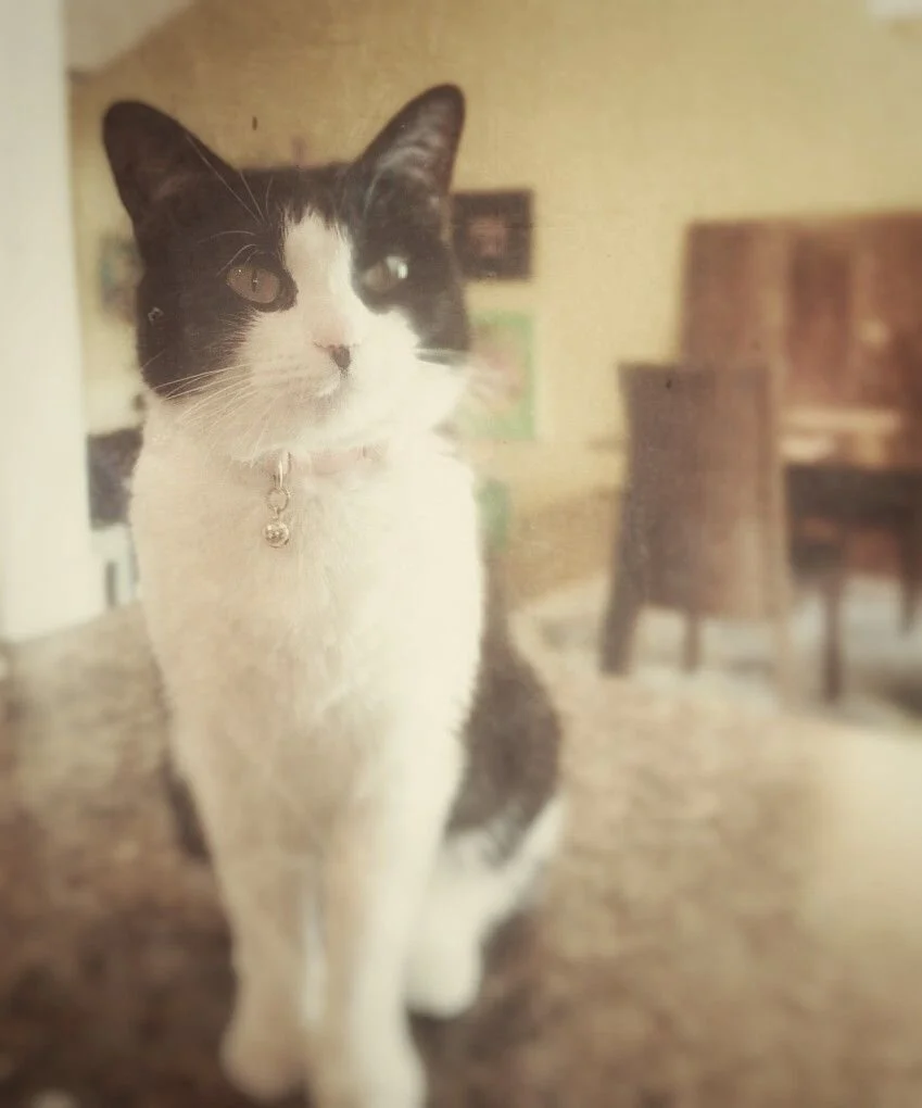 Ms Michonne Roku, 2020 at 5yrs_ Heart U!.jpeg