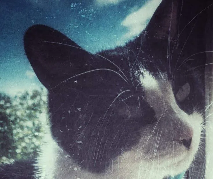 a71073729255cf658ae22a1792c0d28a (1).jpg