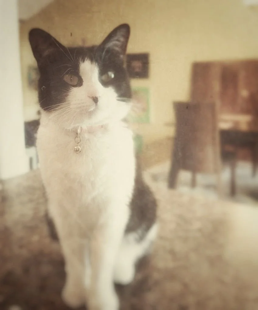 Ms Michonne Roku, 2020 at 5yrs_ Heart U!.jpeg