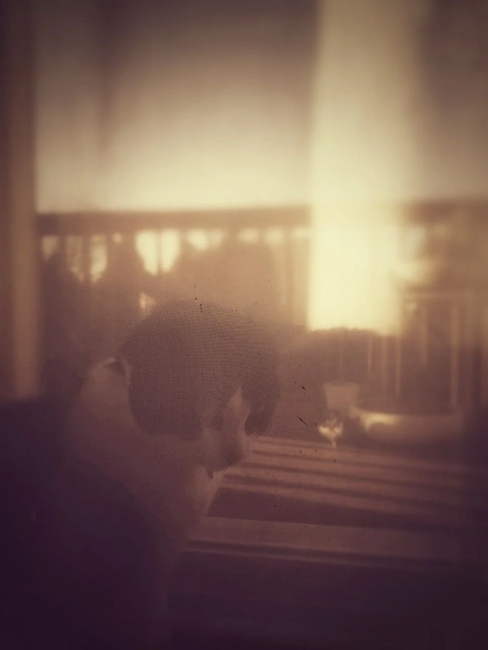 Saturday afternoon_.jpeg