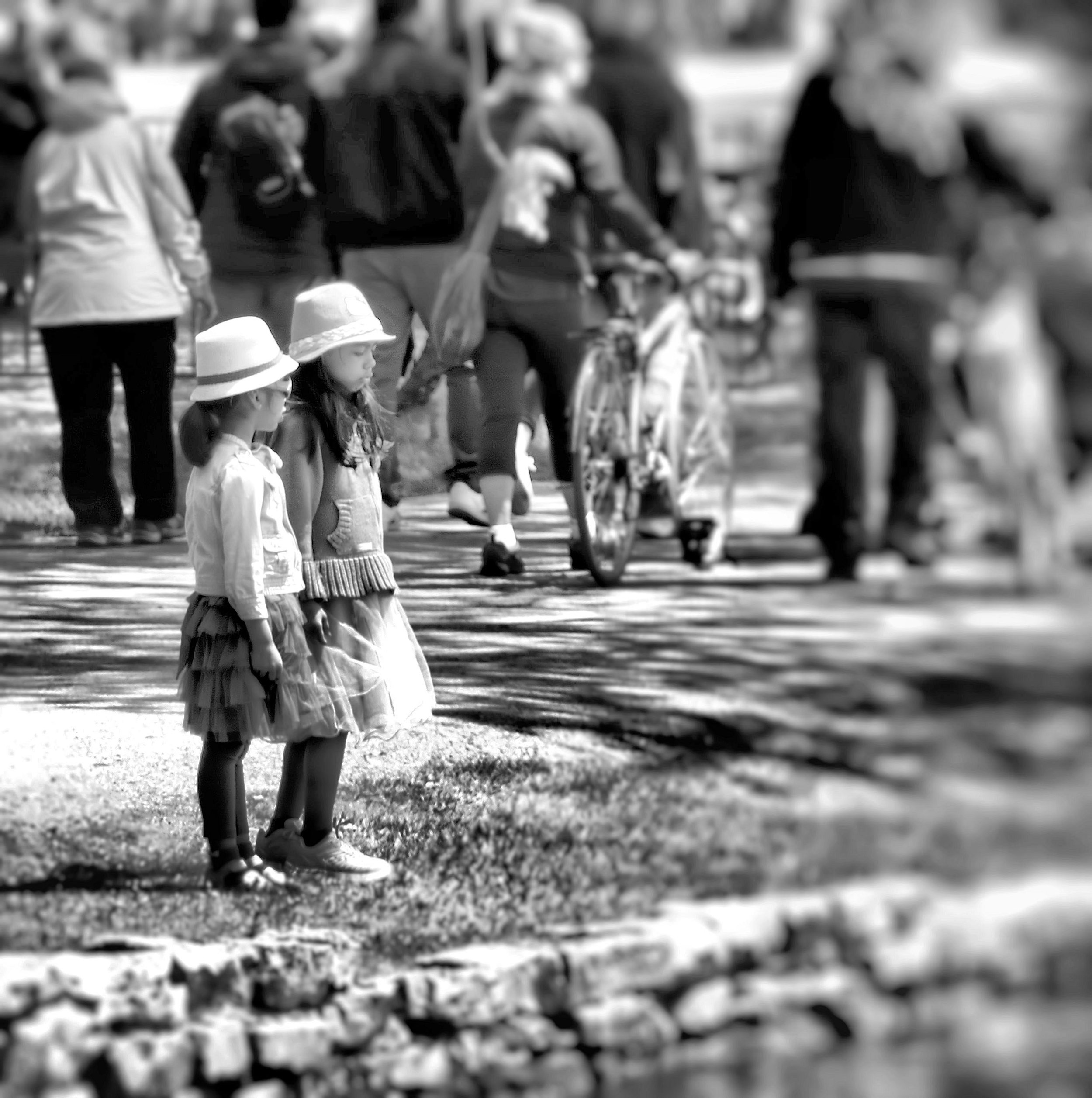 IMG_6514.jpg