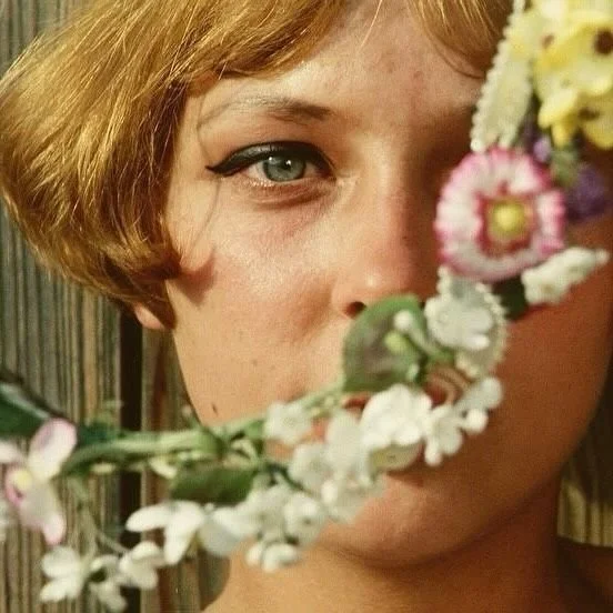 #palomainspiration_ кадры из х_ф «Маргаритки»__Daisies (1966) dir_ Vera Chytilová.jpeg
