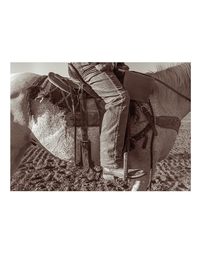 RodeoJudge_noframe_web.jpg