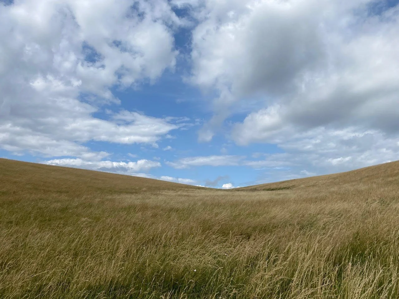Open grassy field with rolling hills and a partly cloudy blue sky.