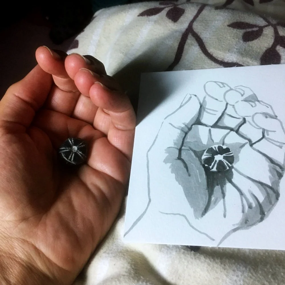 Drawing For All - an online course for beginners