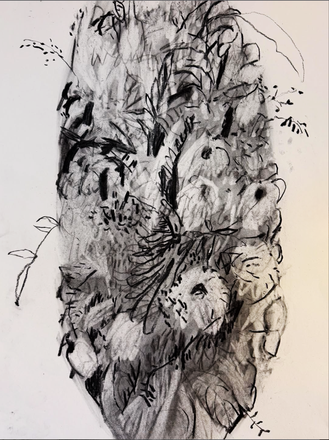 “NESTING” Series of 3 Monthly Workshops