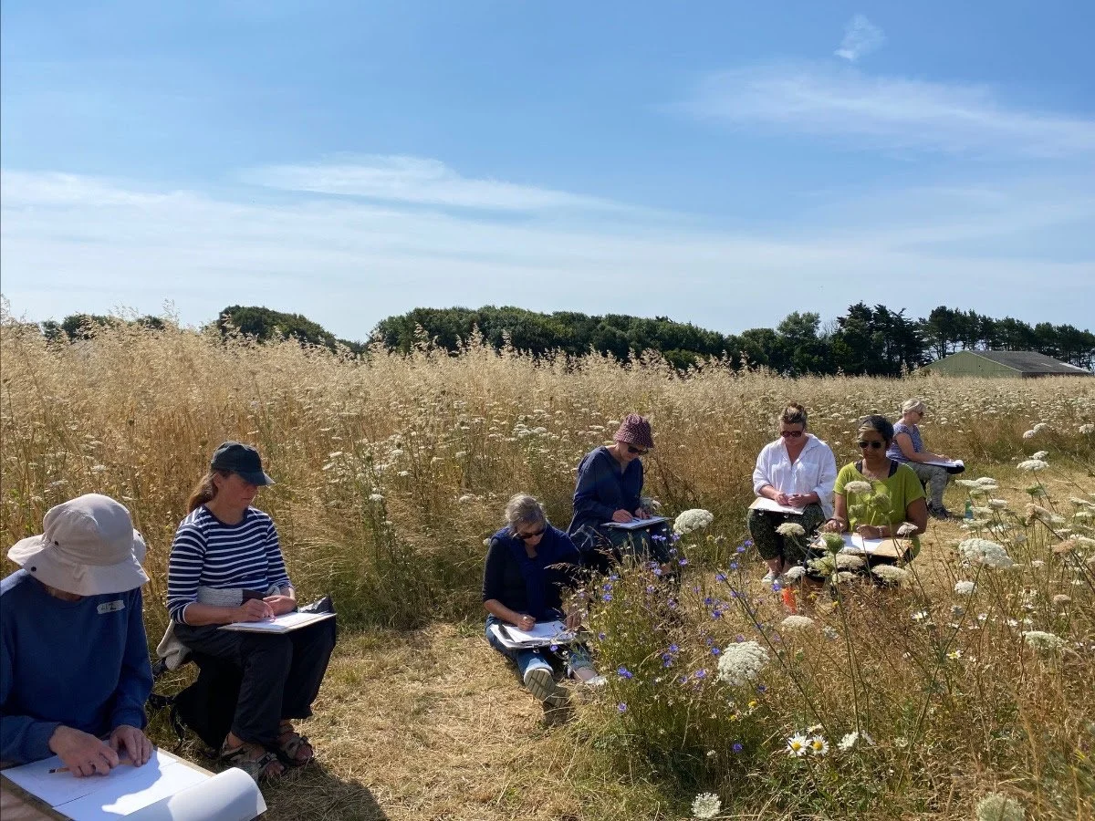 Group of people sitting in a field taking notes or sketching during a sunny day.