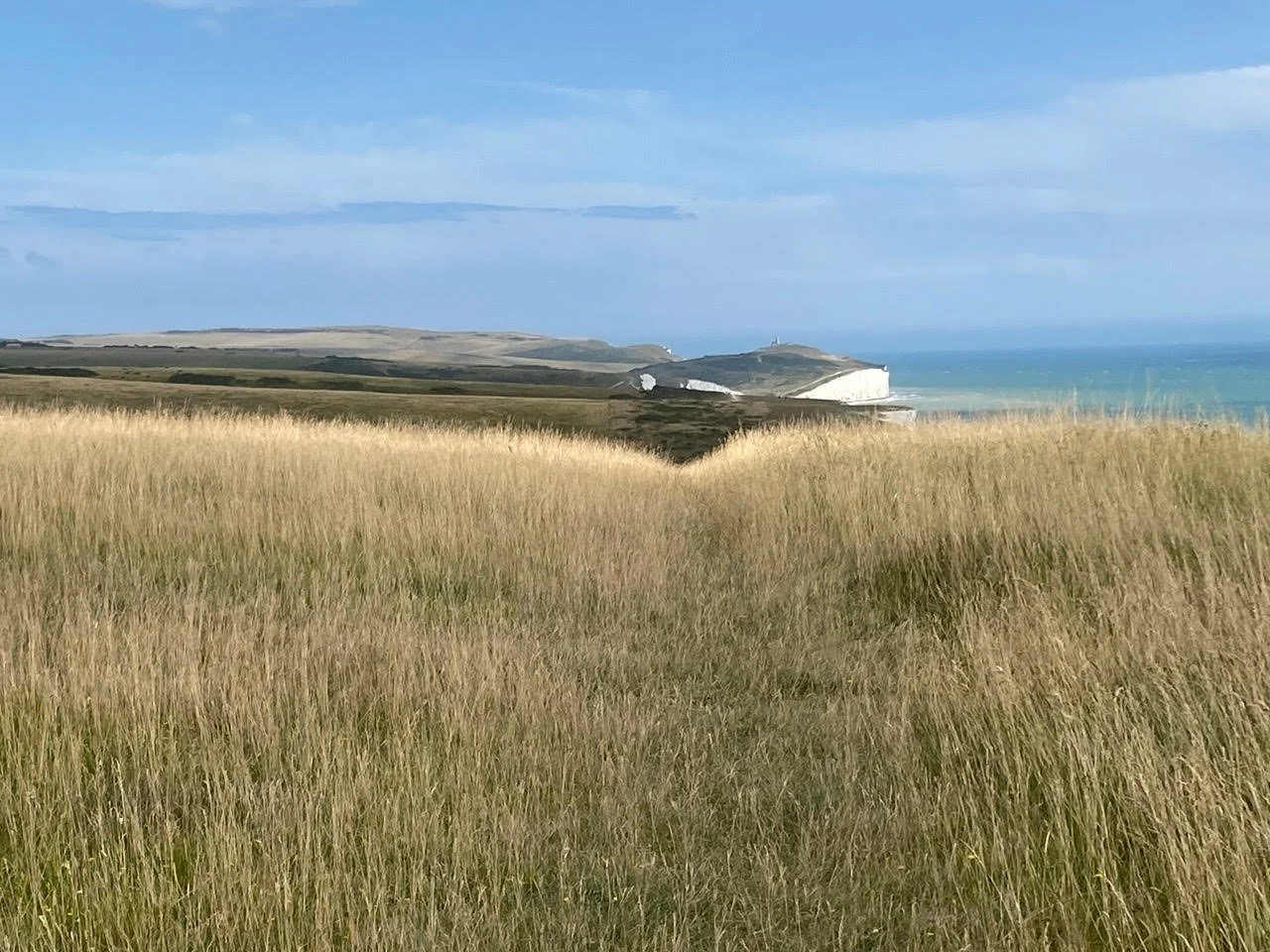 Open grassy field leading to white chalk cliffs, with a blue sky and ocean in the background.