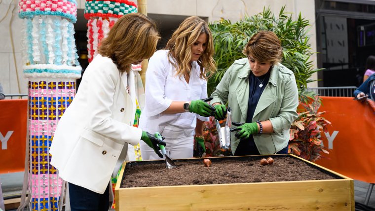 tdy_home_10a_gardening_tips_210805.jpg