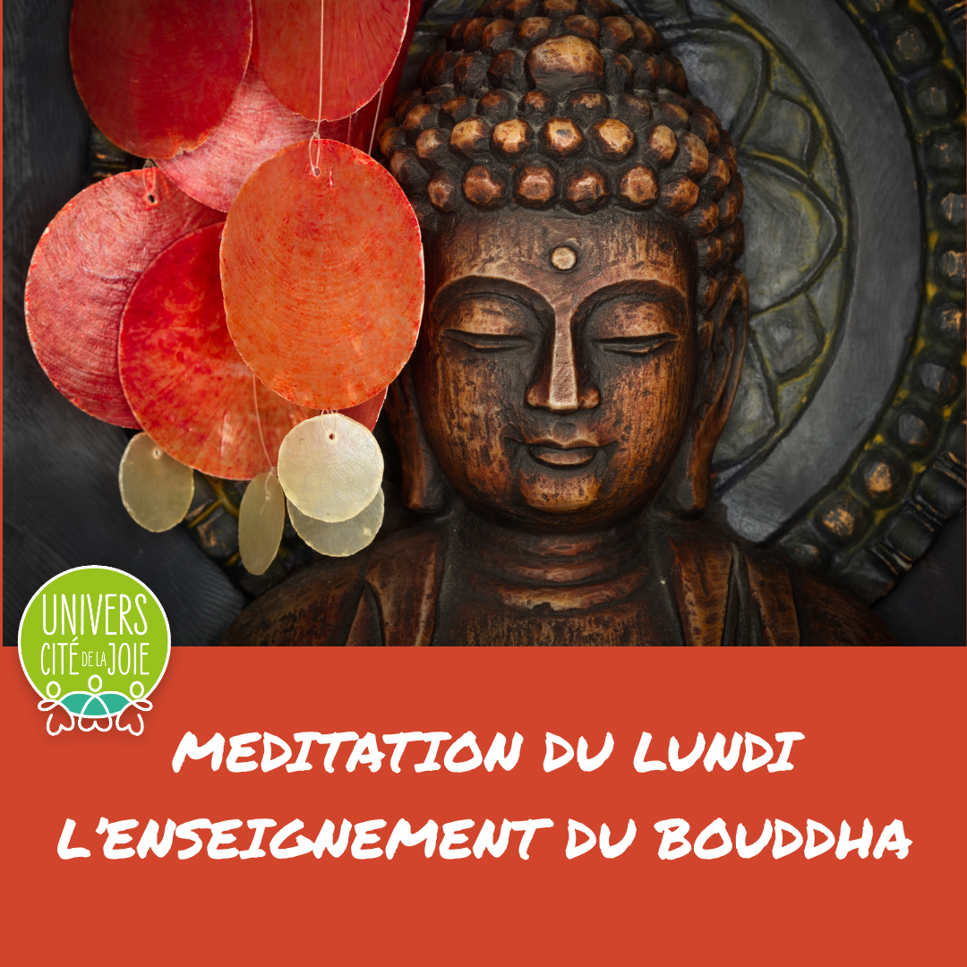 SE RASSEMBLER FAIT DU BIEN : LE BOUDDHA, LA SANGHA &amp; LEON XIV