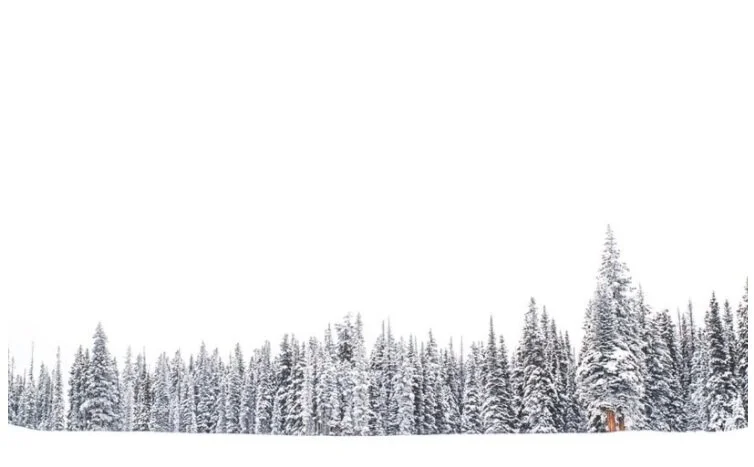 The Silent Overture of a Snowman