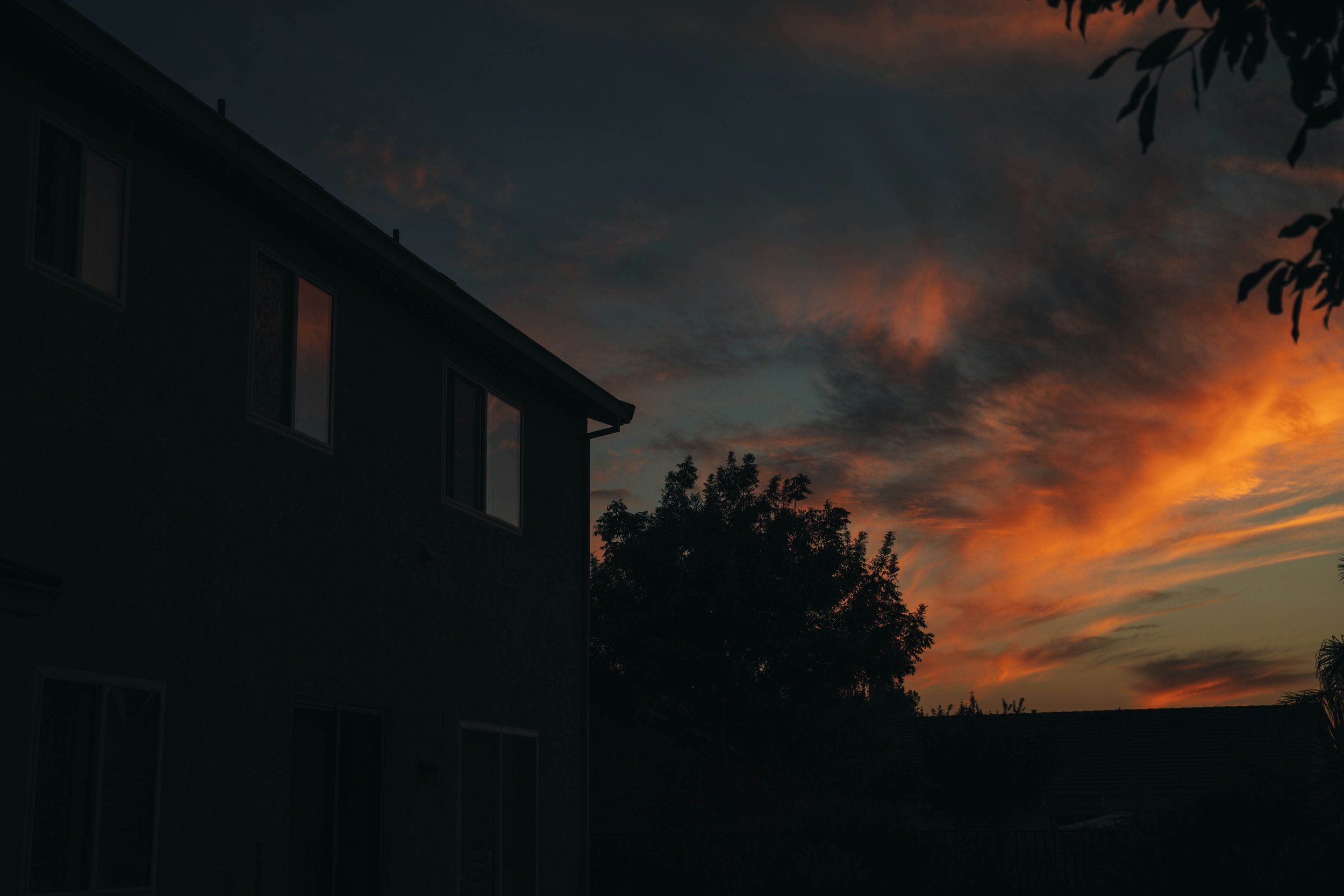 ars poetica for the borrowed lights (after Ocean Vuong)