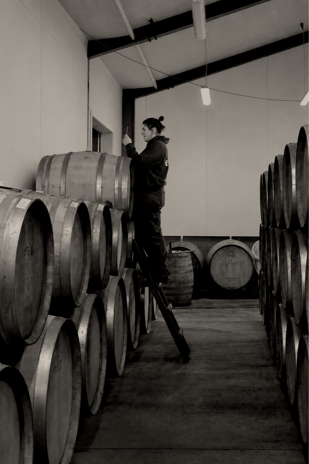 winery.webp