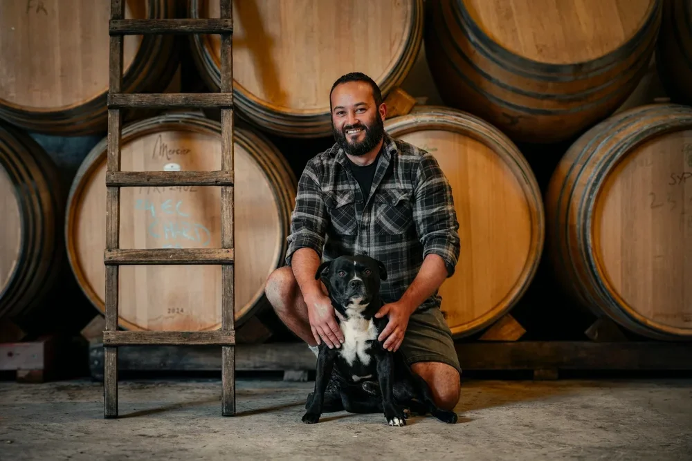 Dogs of the vineyard