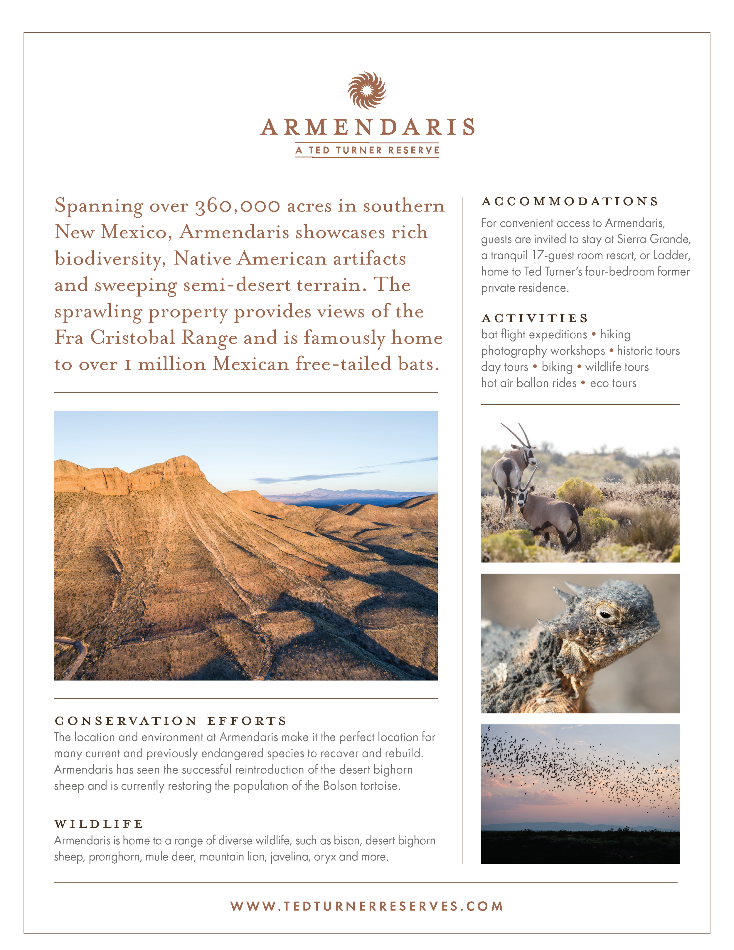 Armendaris Back OnePager-Proof 2_040819.png