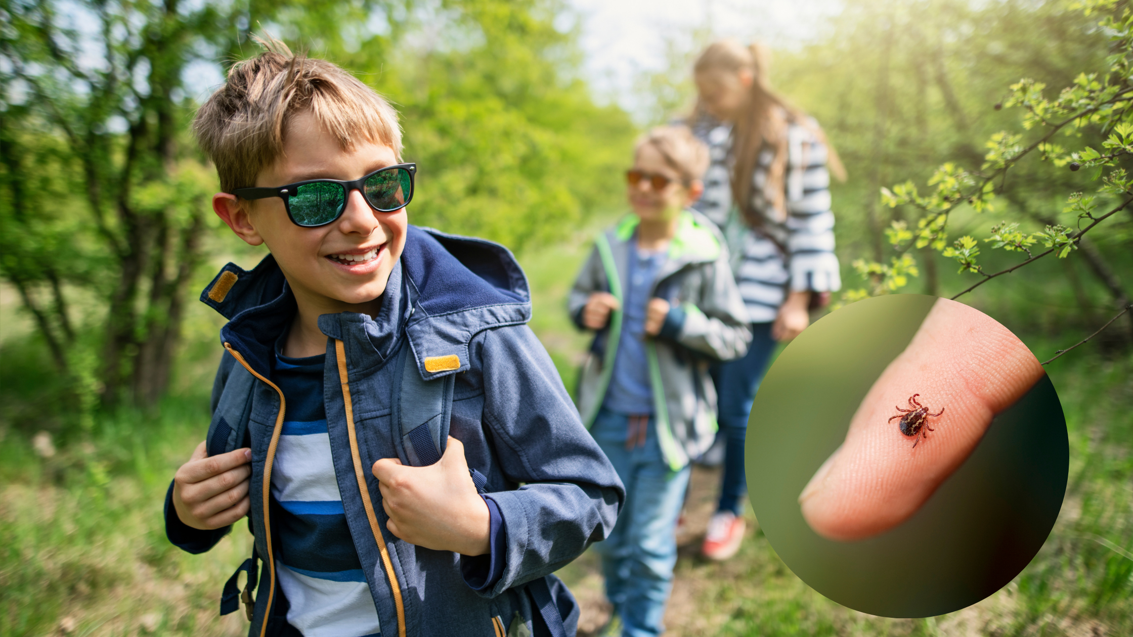 Tick Prevention for Families
