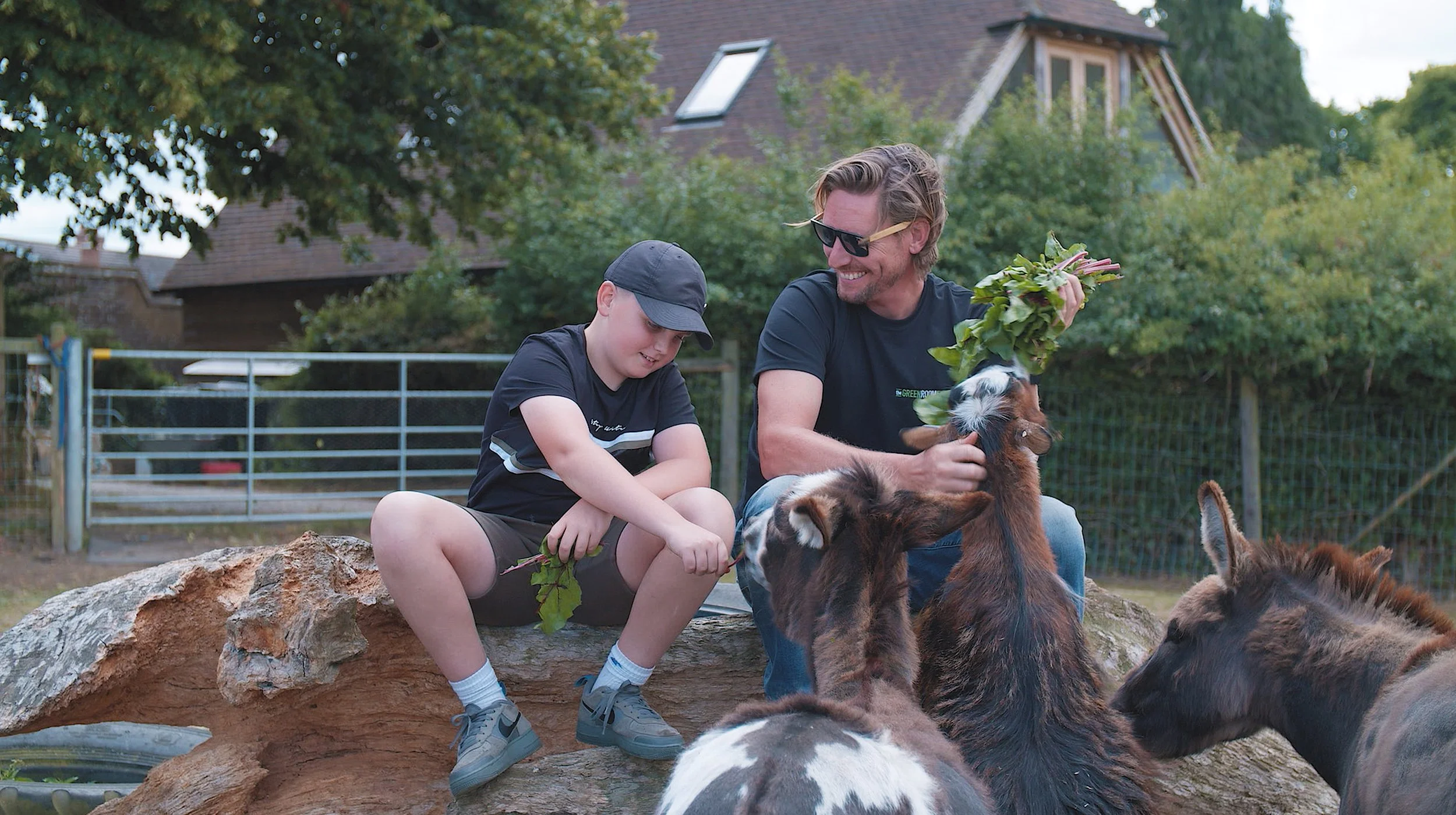 A man and a boy sitting on a large rock outdoors, playing with goats. The man is holding a bunch of leafy greens and smiling, while the boy is holding a leaf. There are trees, a house, and a fence in the background.