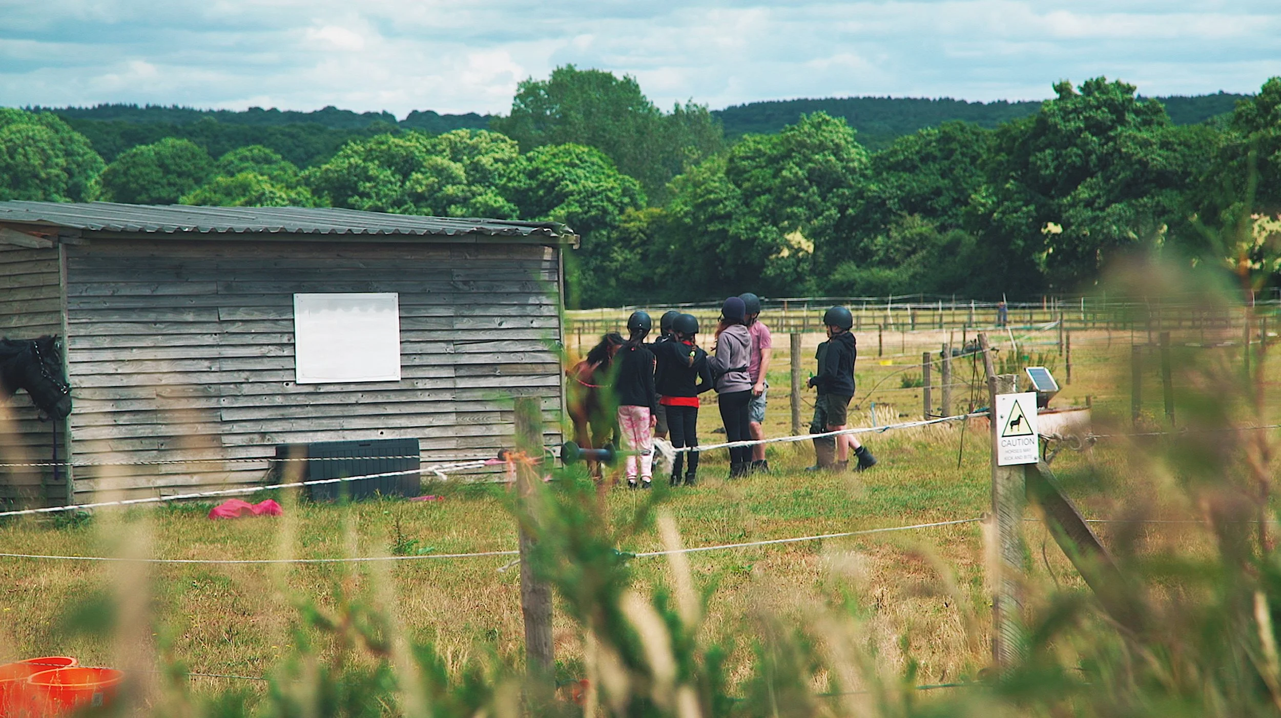 A group of people wearing helmets standing near a wooden shed and a horse at a horse riding school, with greenery and trees in the background.
